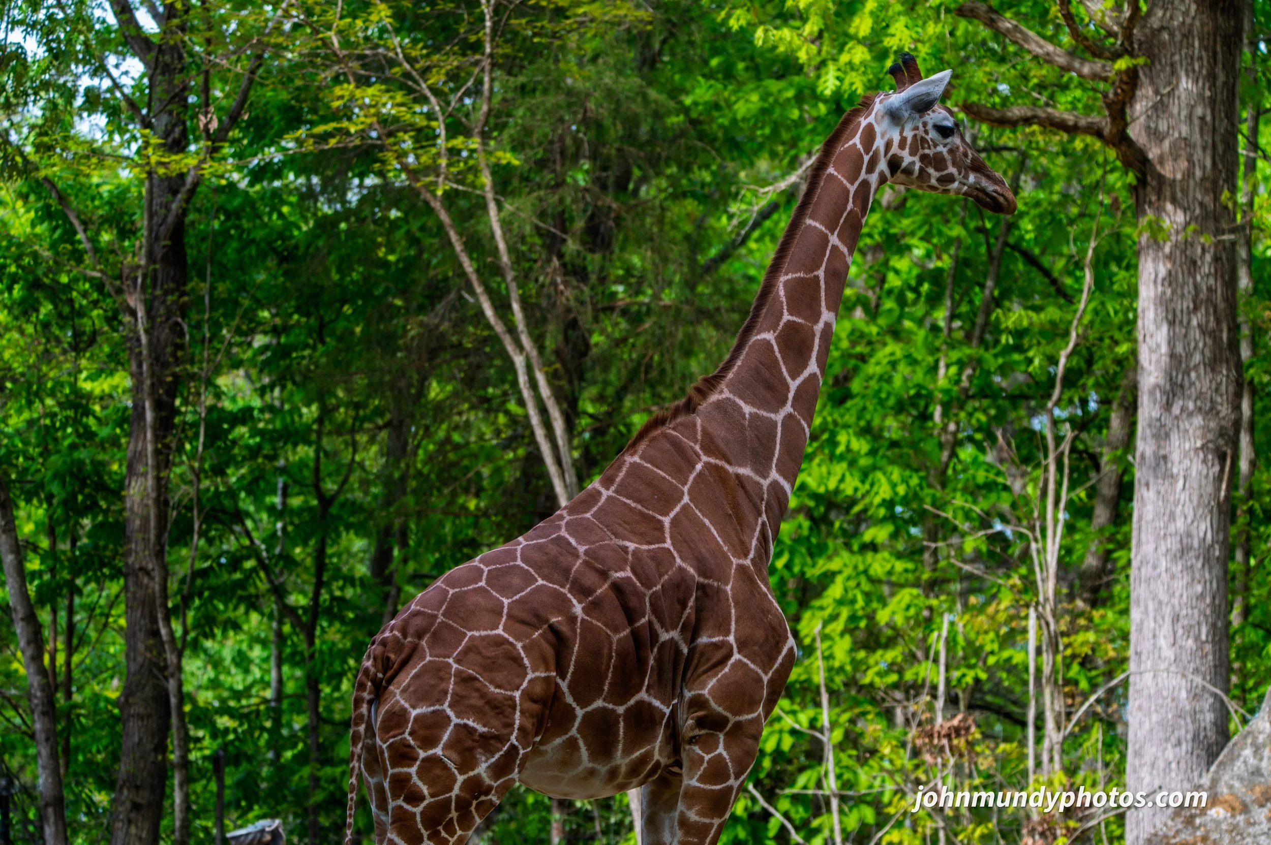 zoo-04.jpg
