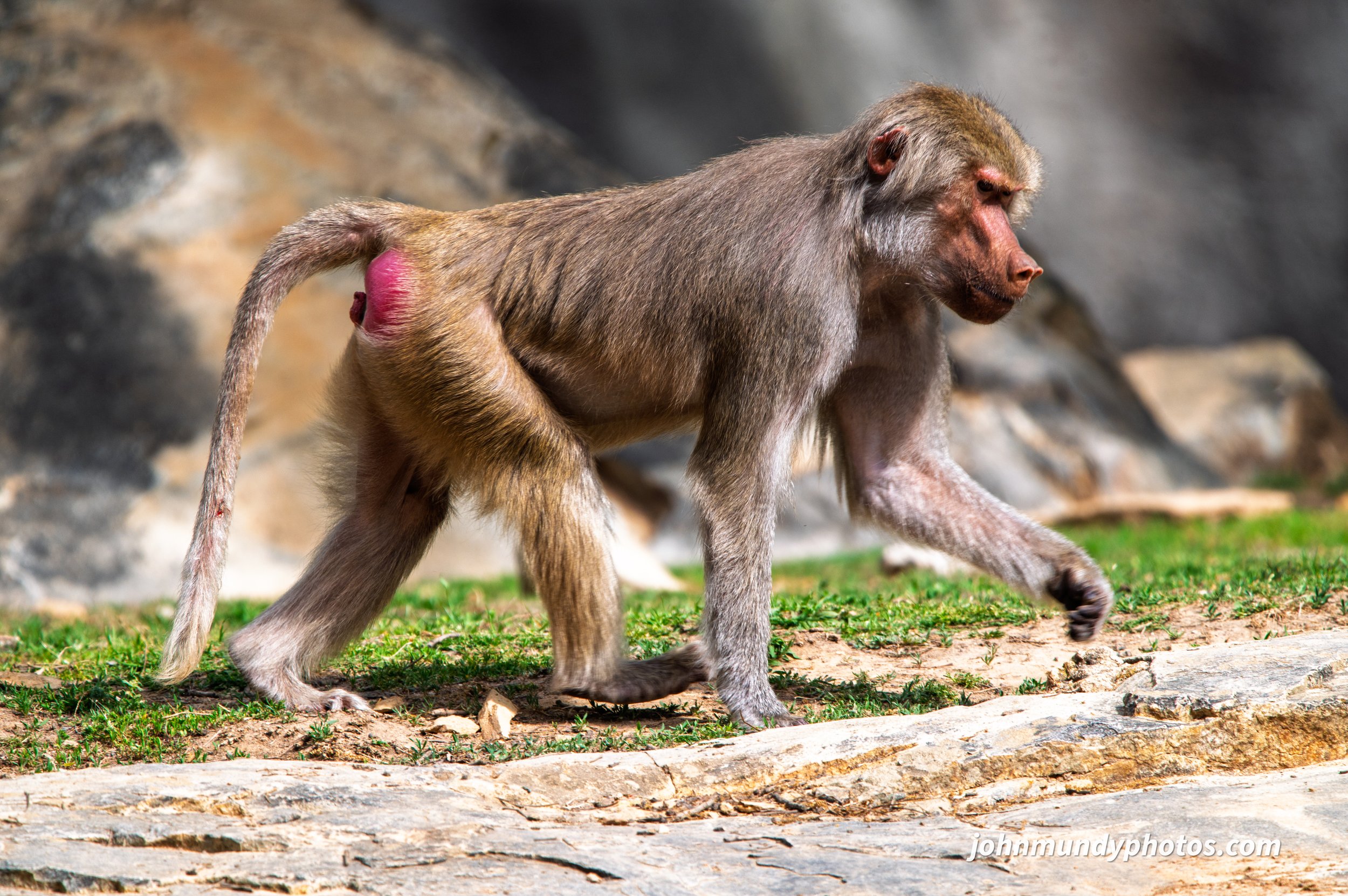 zoo-28.jpg