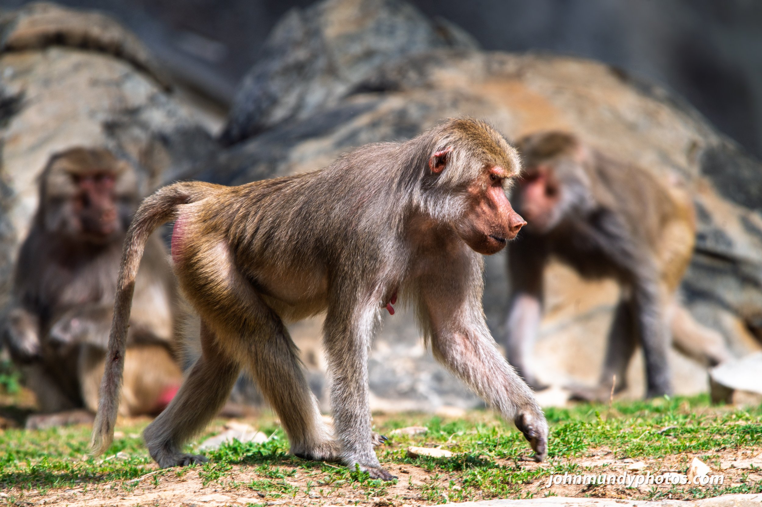 zoo-27.jpg