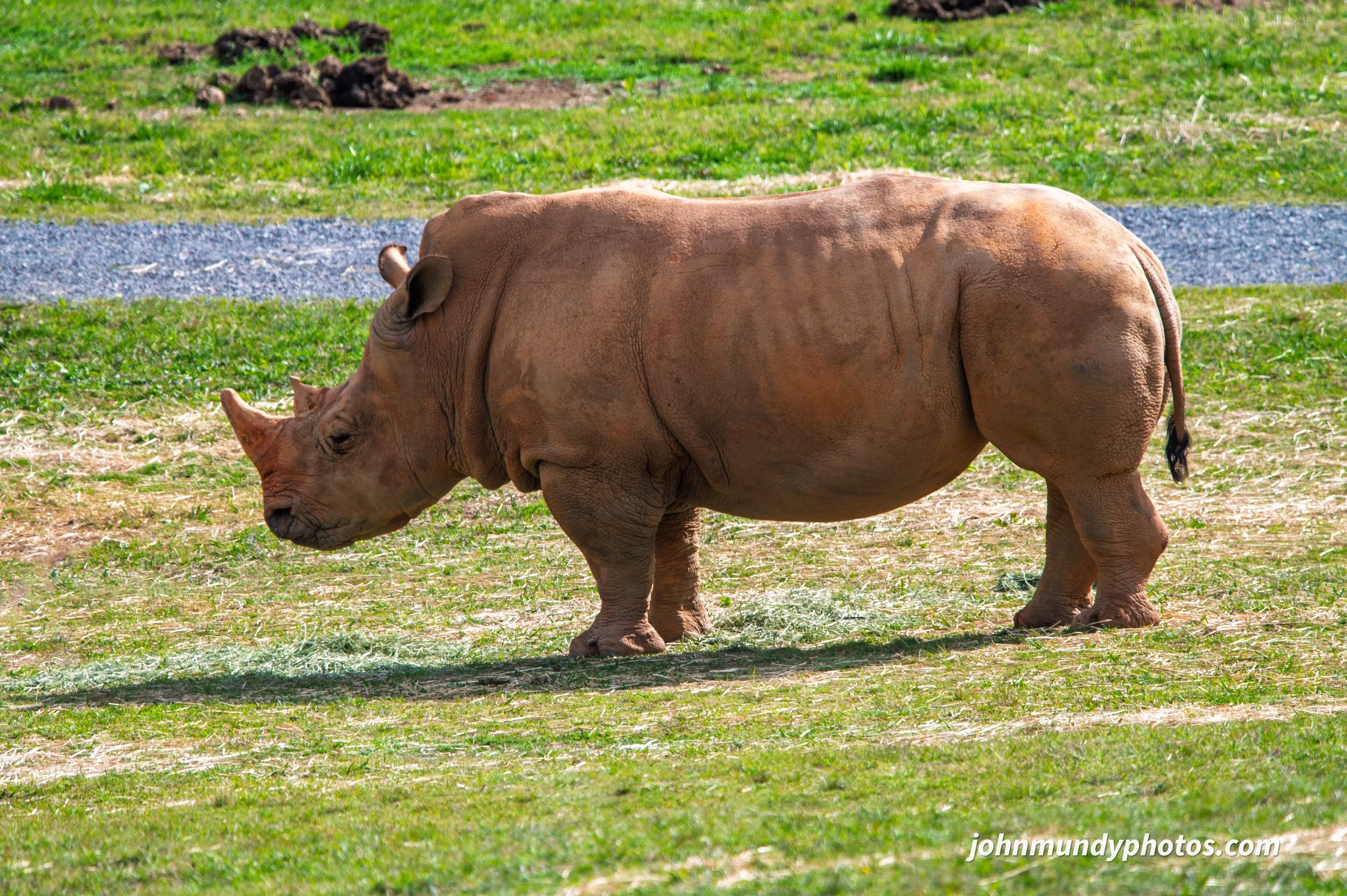 zoo-17.jpg