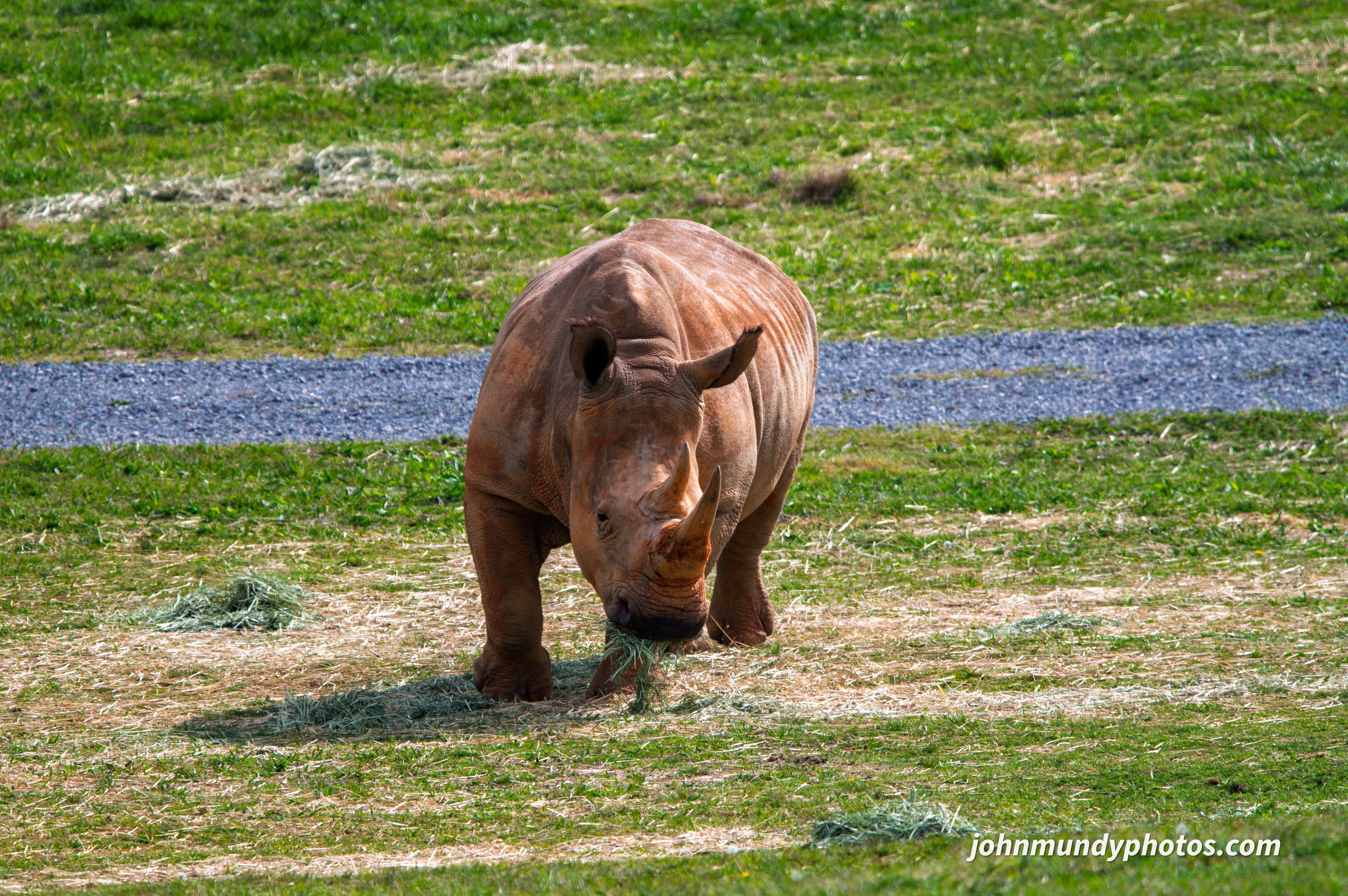 zoo-22.jpg