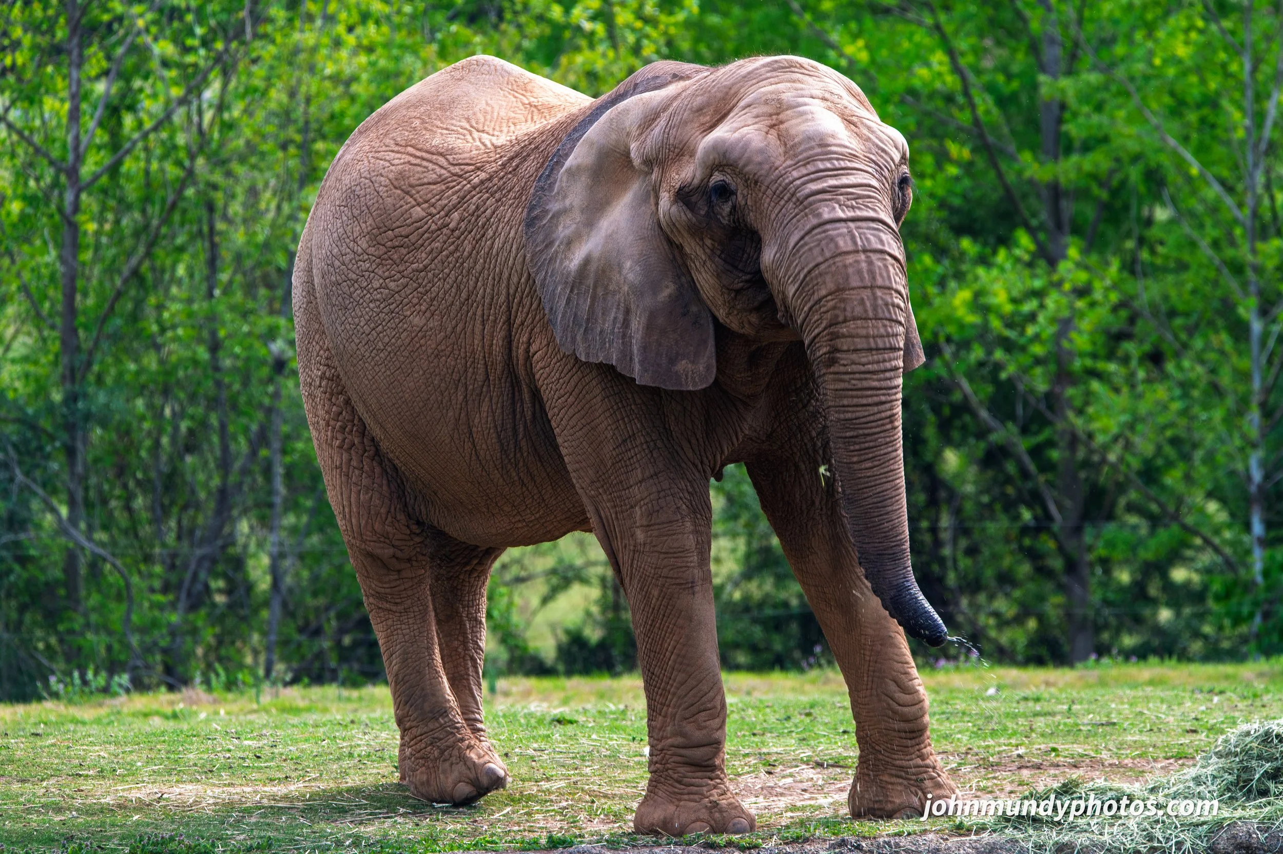 zoo-07.jpg