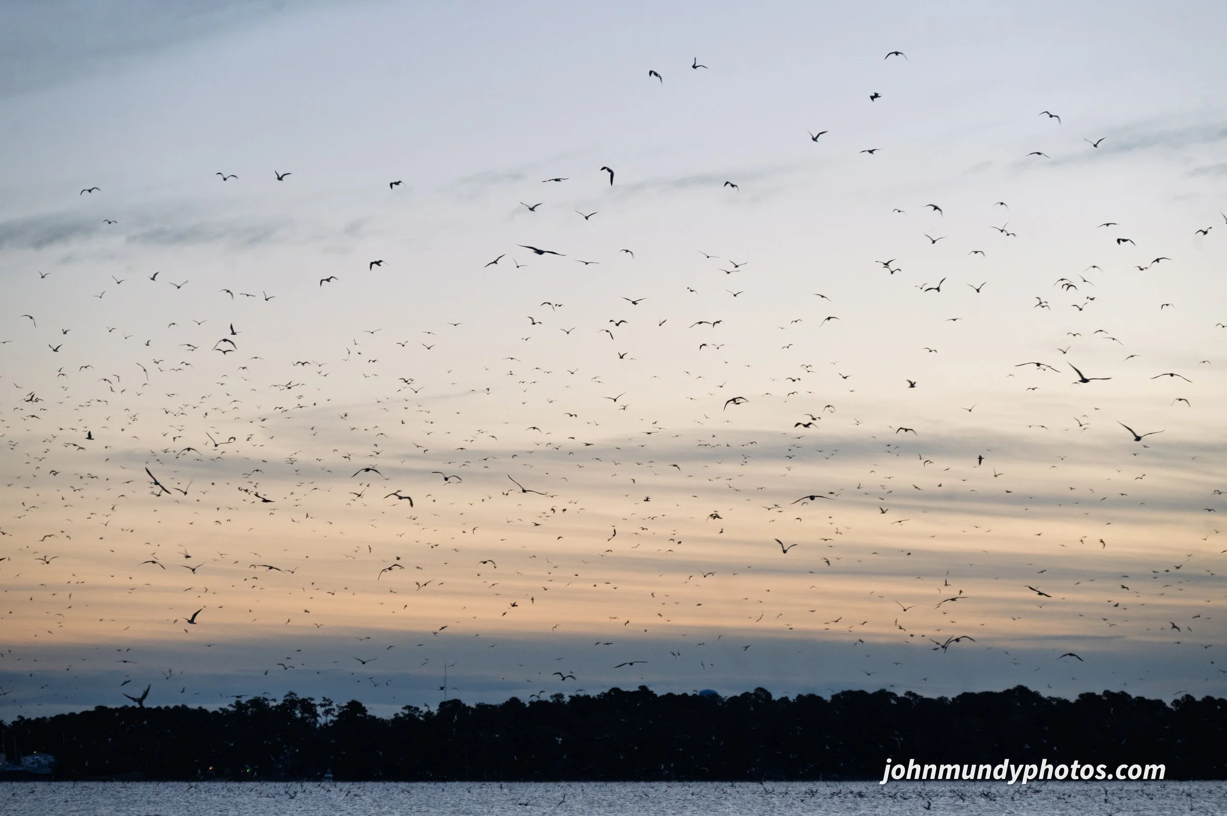 New Bern Sunrise-12.jpg
