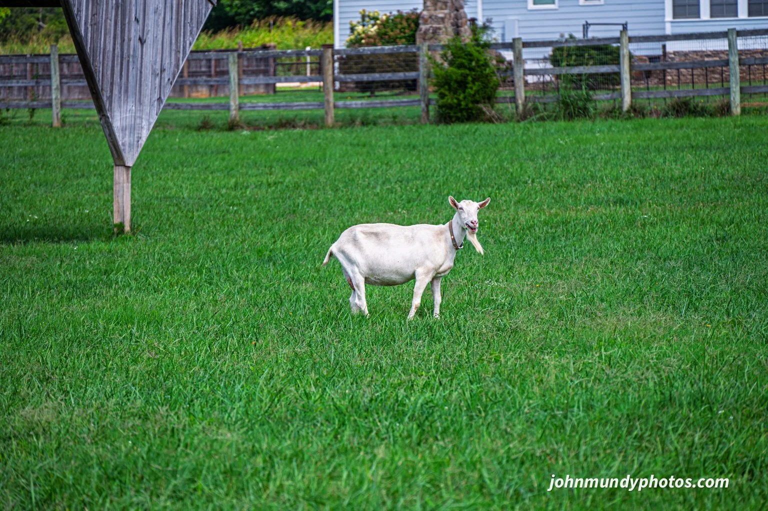 AlpacaFarm082026-23.jpg