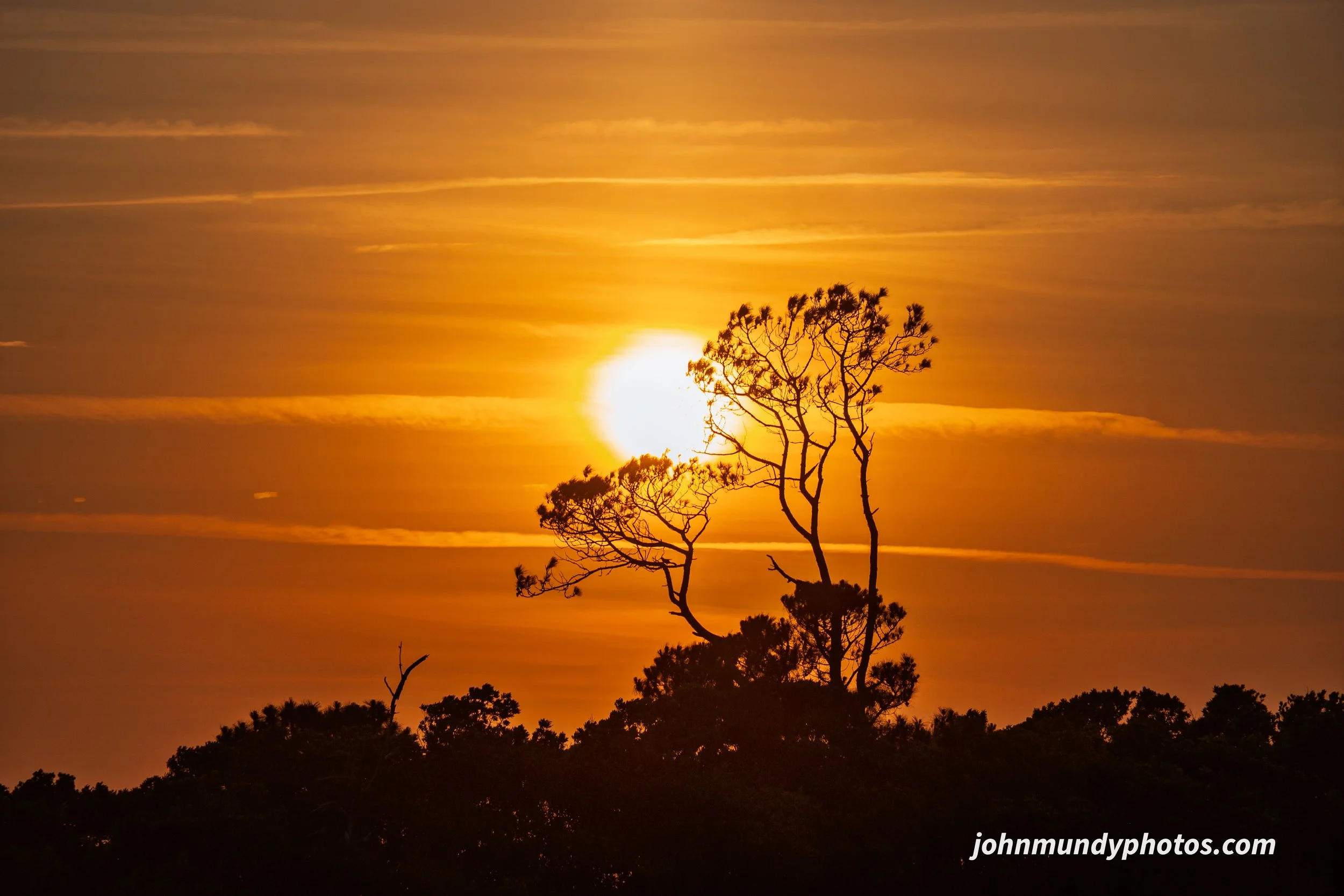 Bodie Island Marsh Blind - 06.2026