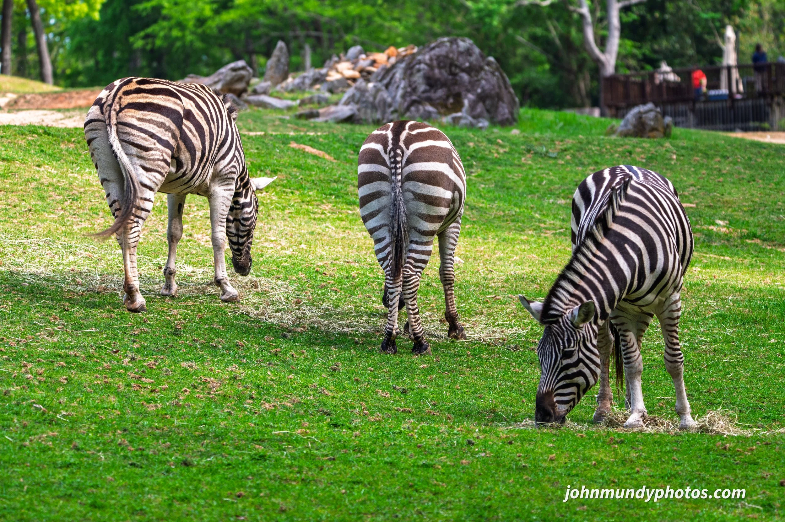 zoo-45.jpg