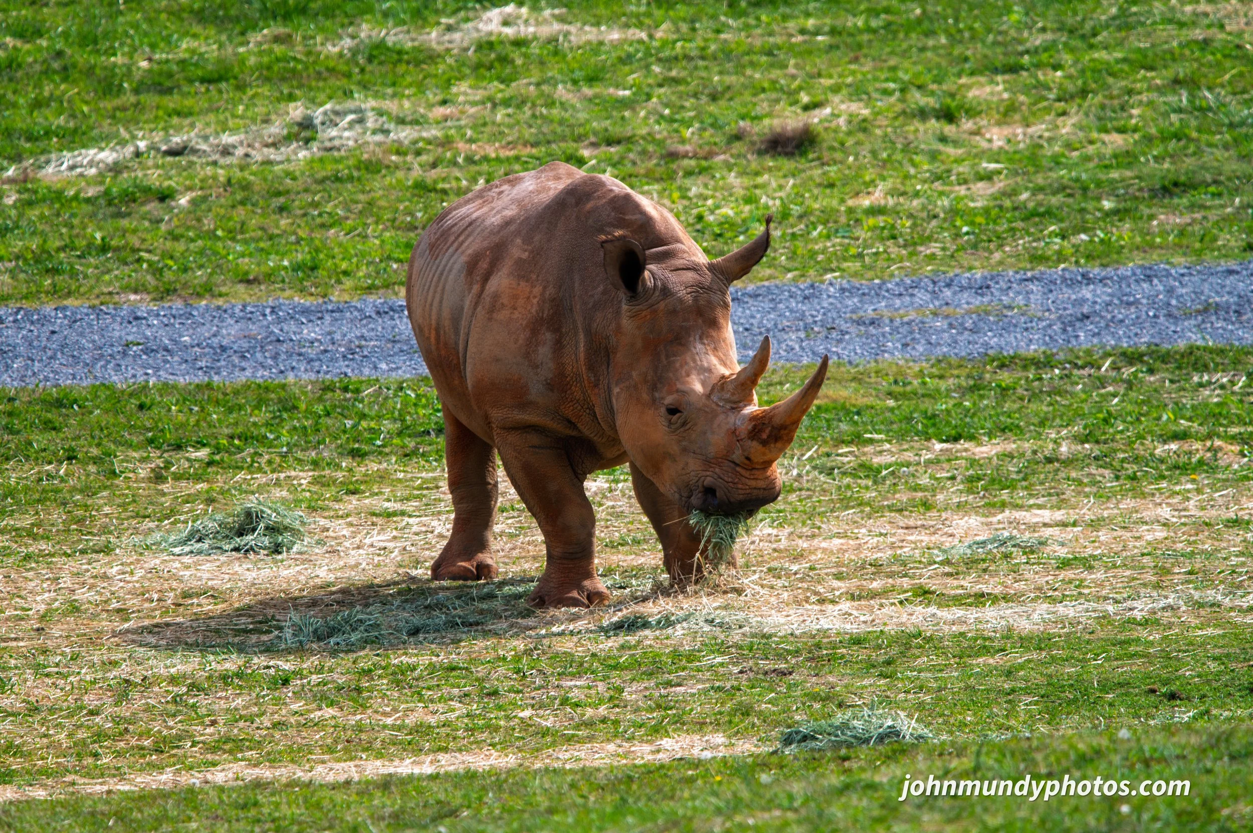zoo-23.jpg