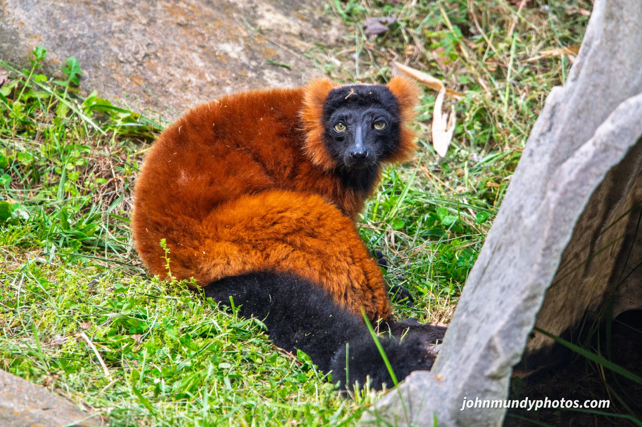 zoo-35.jpg