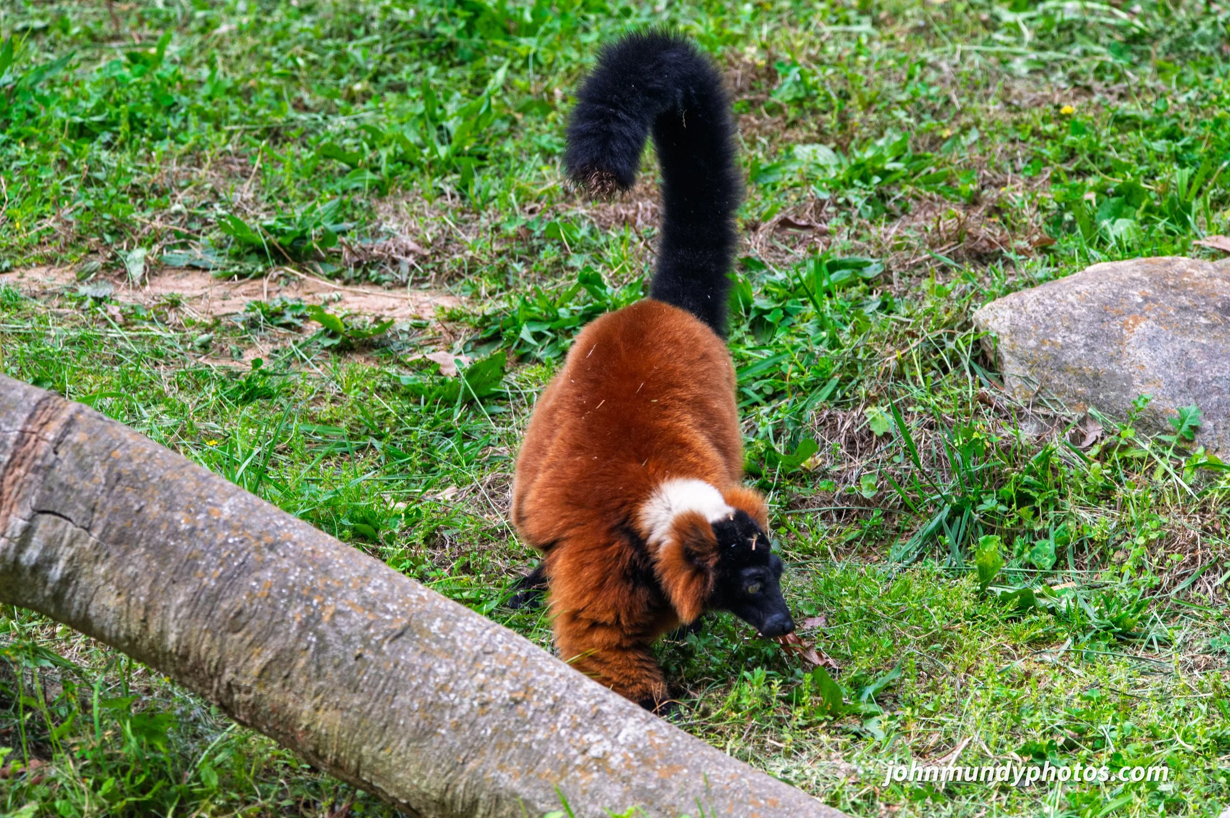 zoo-32.jpg