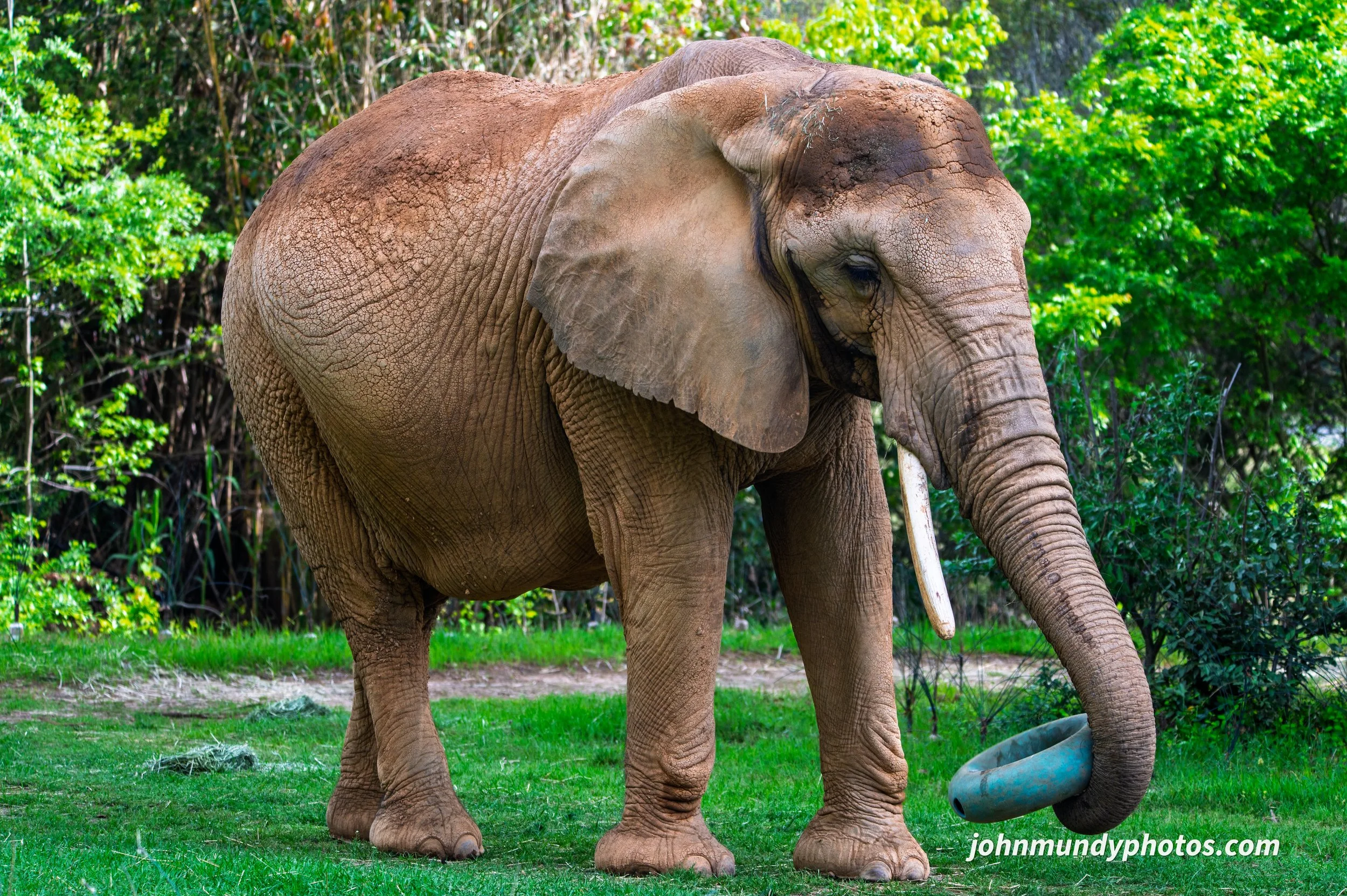 zoo-15.jpg