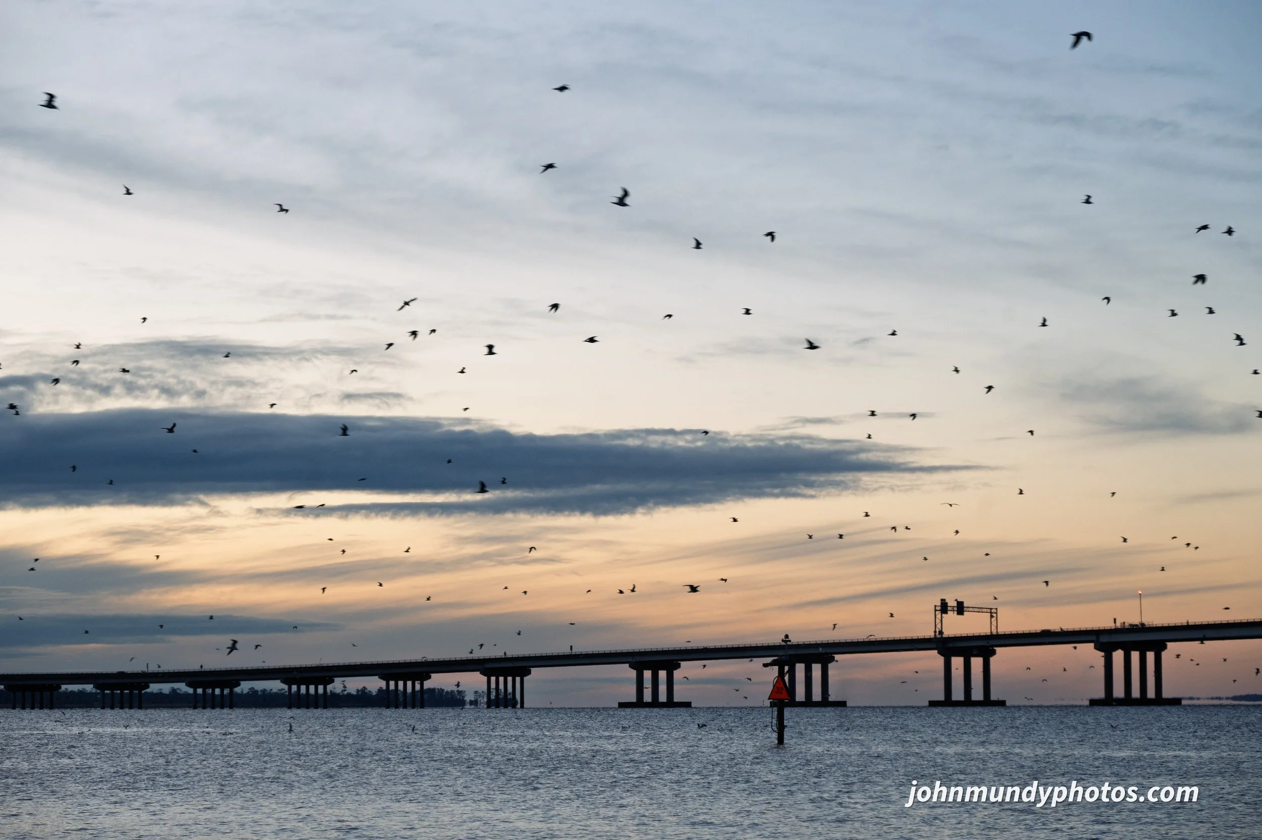 New Bern Sunrise-13.jpg