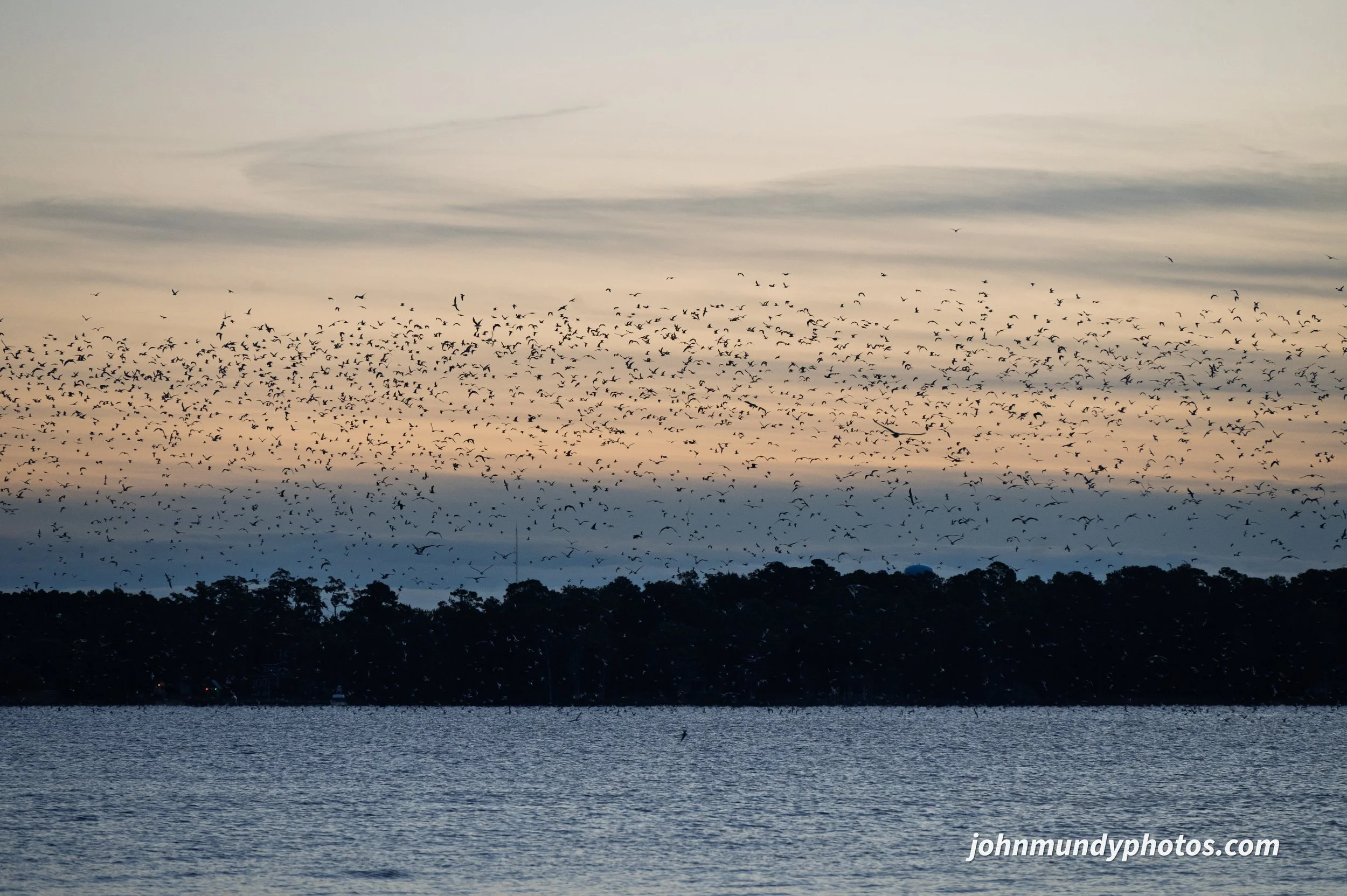 New Bern Sunrise-09.jpg