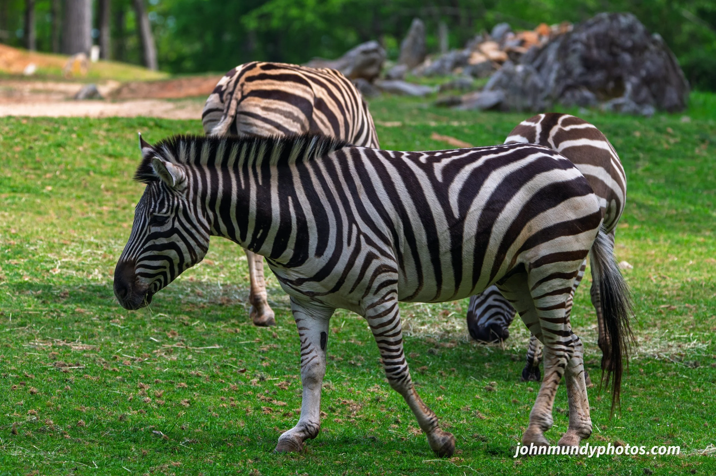 zoo-47.jpg