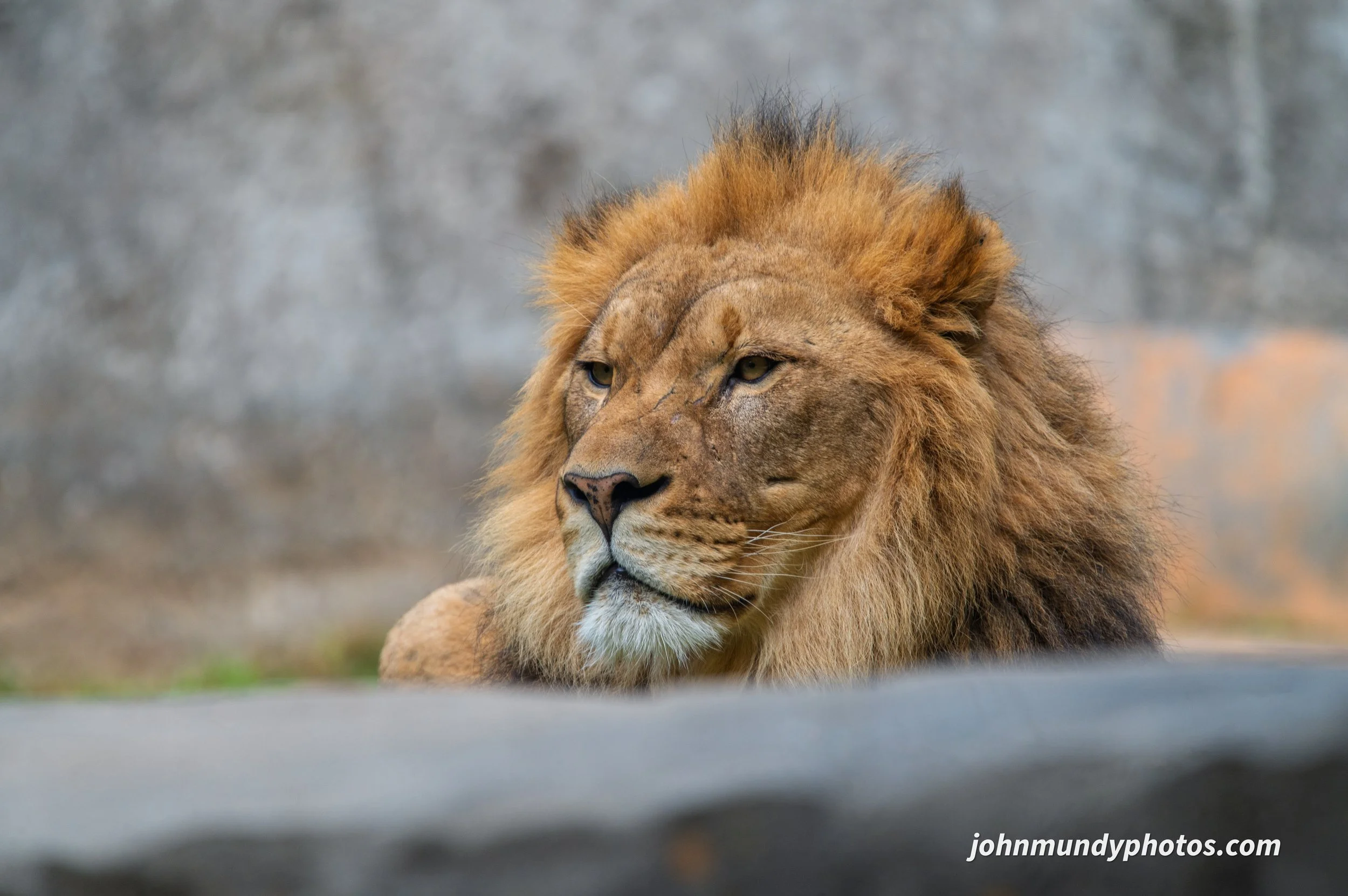 zoo-43.jpg