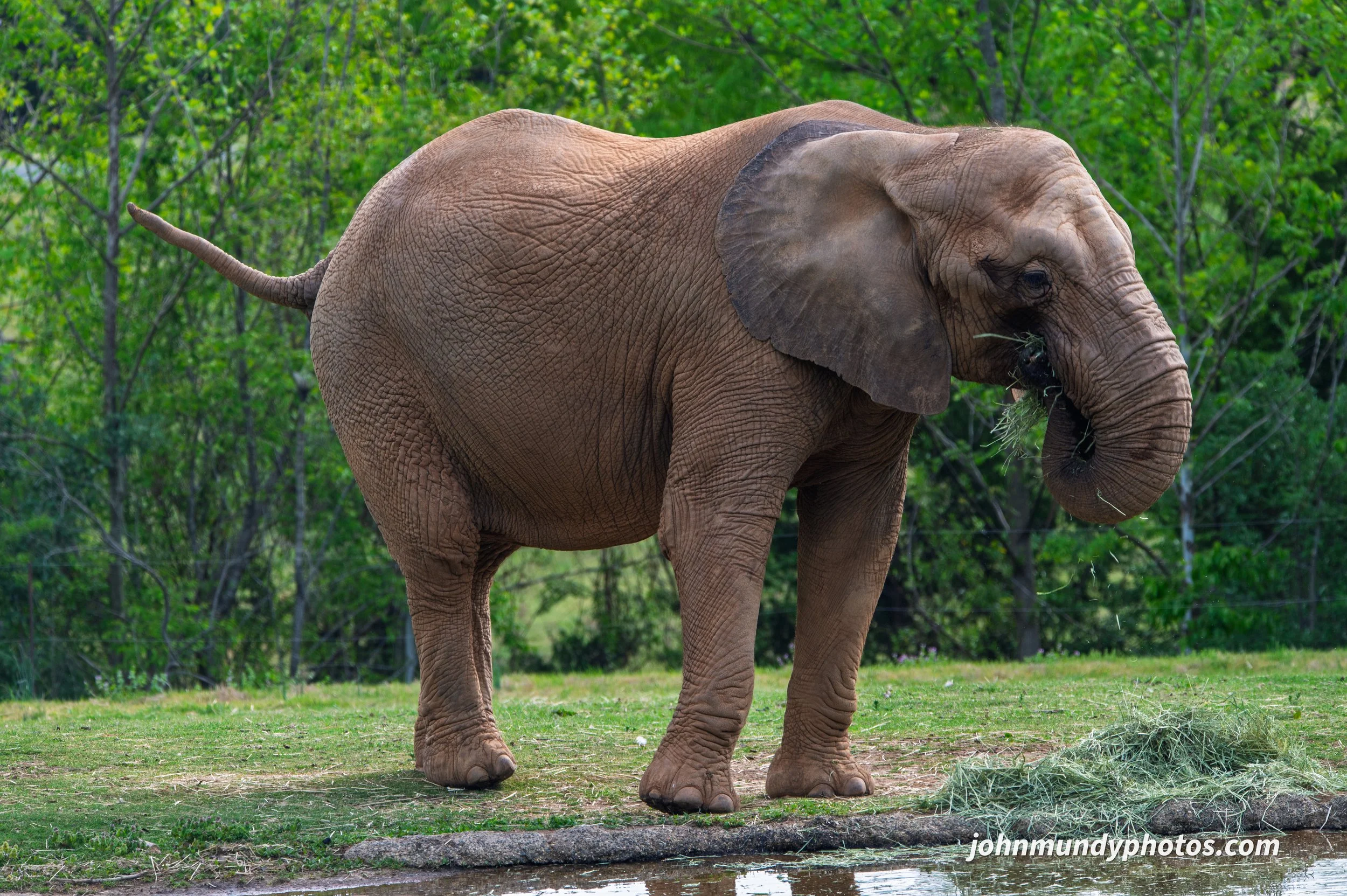 zoo-11.jpg