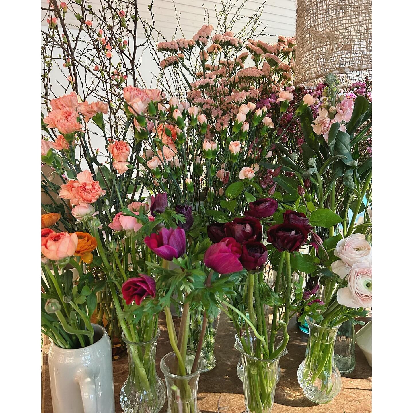 Samstag offen 8.30 - 12.00 Uhr &amp; 14.00 - 16.30 Uhr 🌸

Freu mi uf eu!

#blumen #weekendfowers #weareopen #shoplocal #flowers #flowerlovers #botanique #pf&auml;ffikonsz