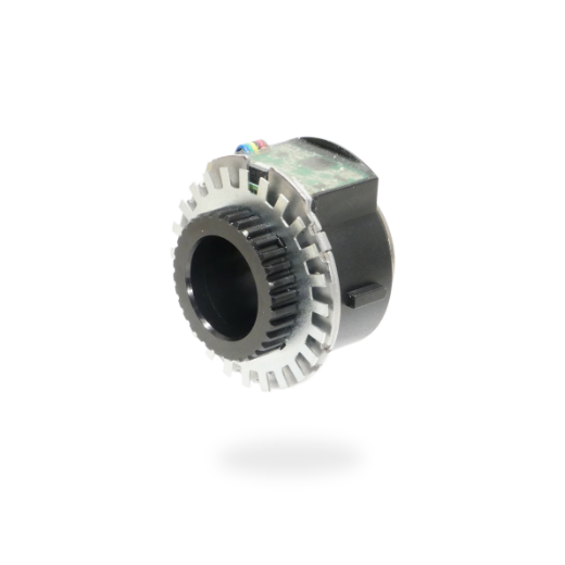 TORQUEファンボード美品　8feet TORQUEファンボード美品 8feet - メルカリ