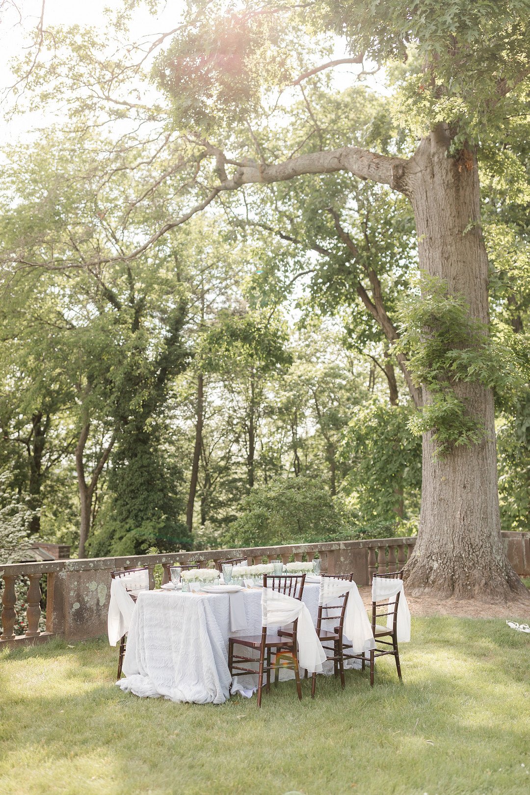 Chic Garden Picnic Engagement_Idalia Photography_Dee Kay Events Tyler Gardens C-15_low.jpg