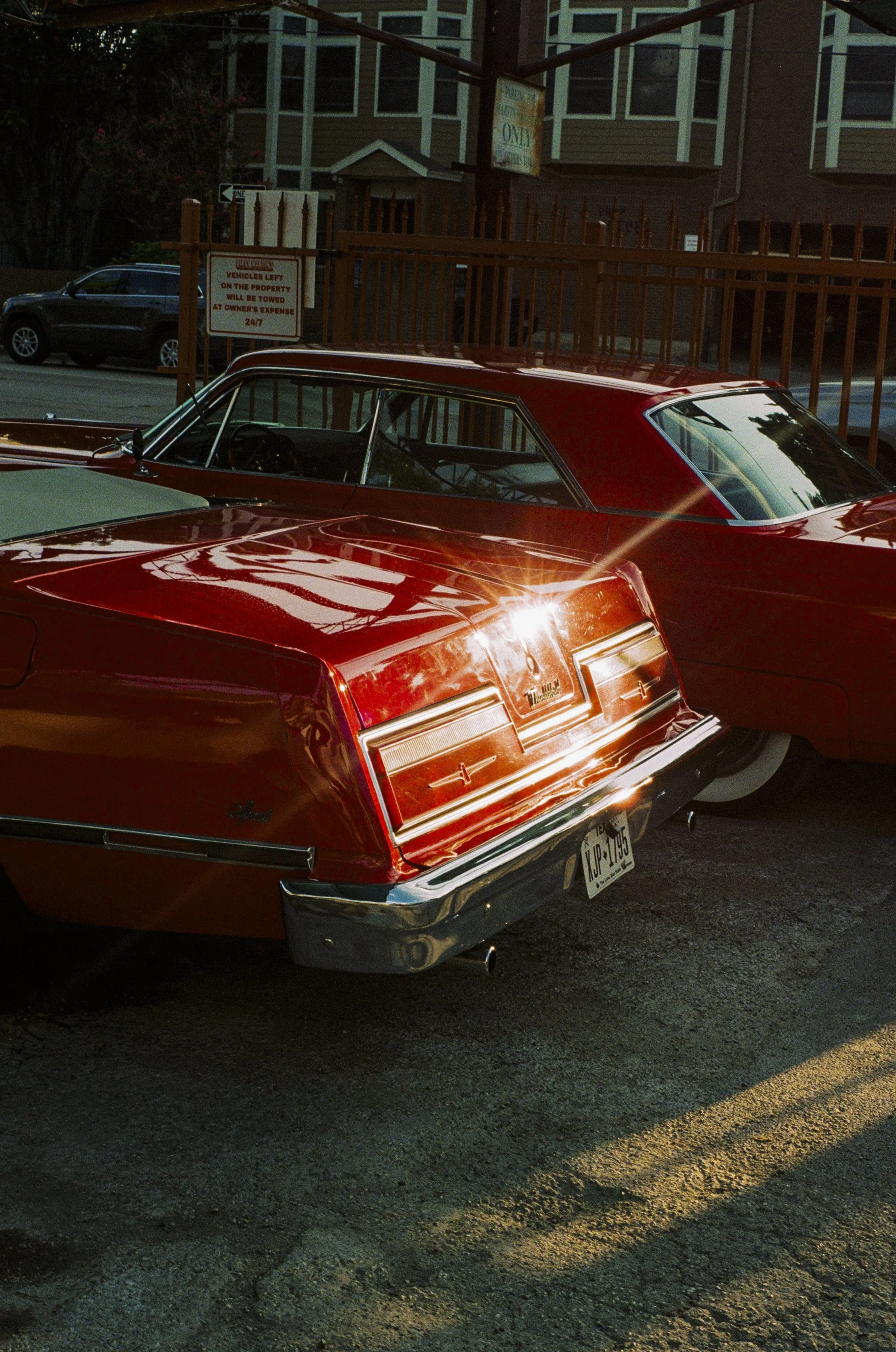 June.26-35mm-19.jpg