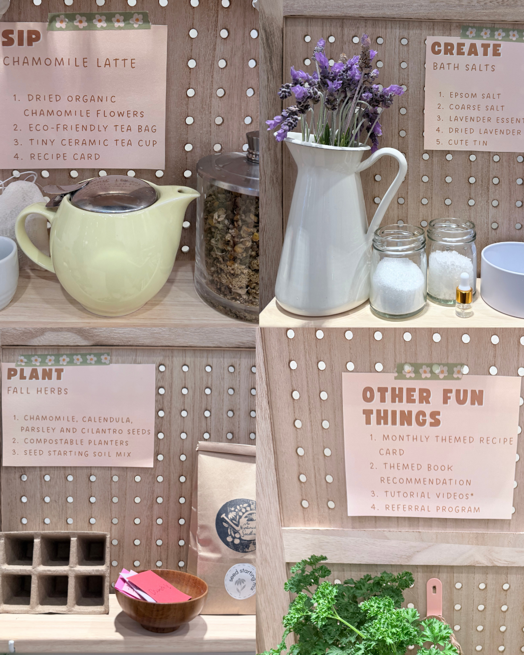 Littlest Gardeners "Herb Growers" Kit