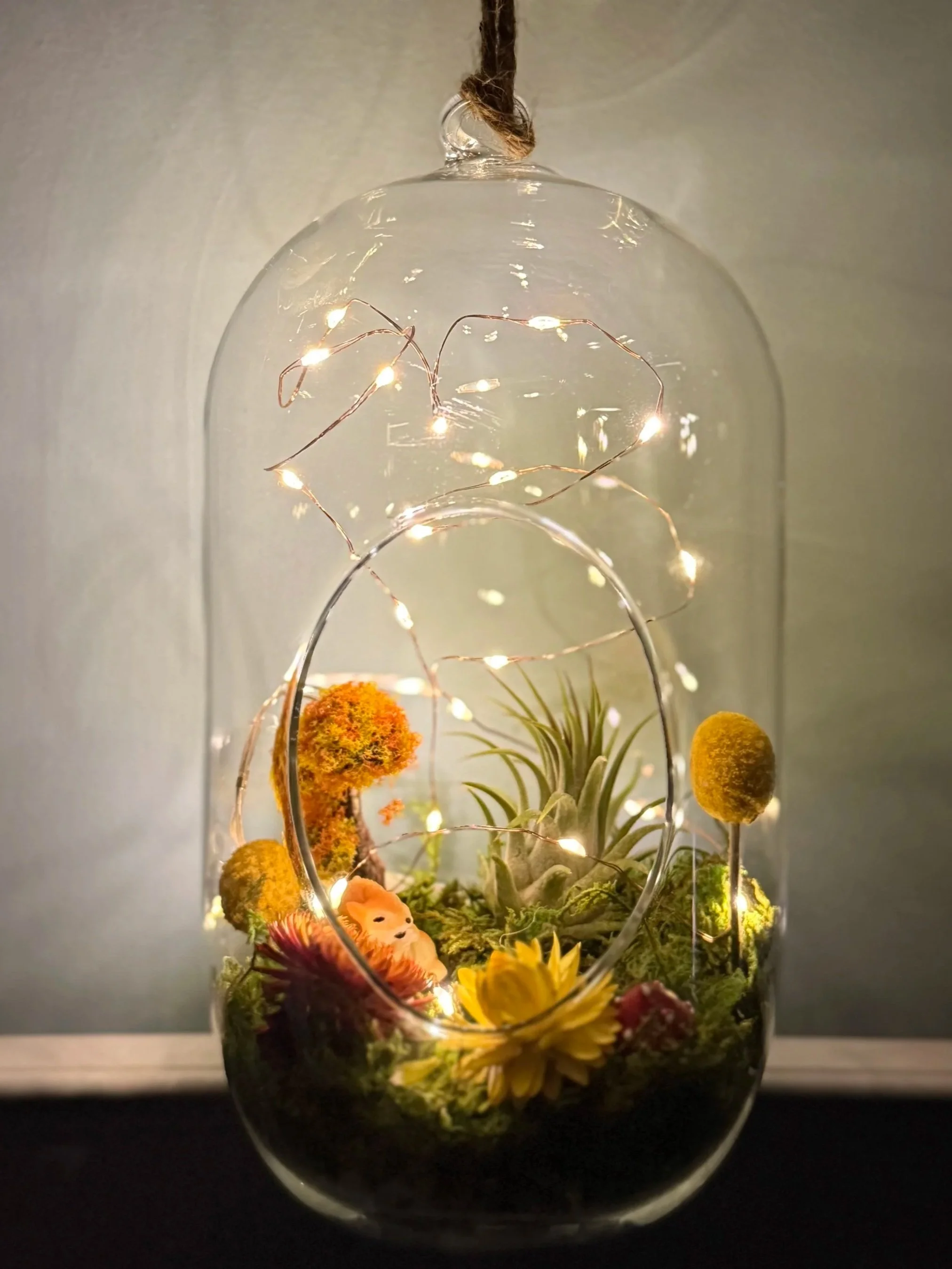 Winter Solstice Terrarium Lantern-  Kit for Kids