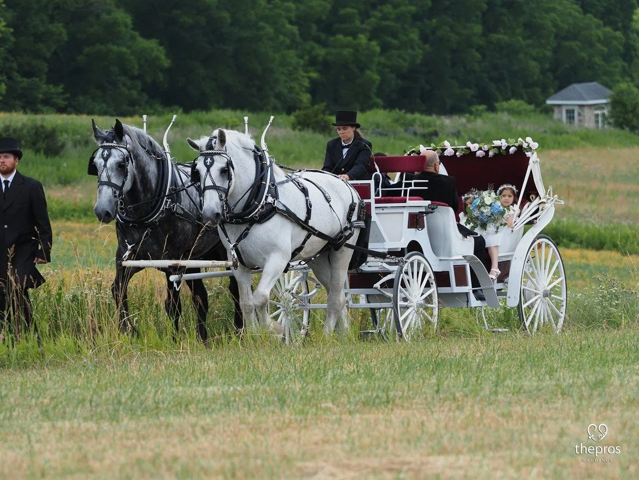 A white horse-drawn carriage decorated with flowers carries a young girl and two adults in formal clothing through a grassy field, with trees and a small building in the background.