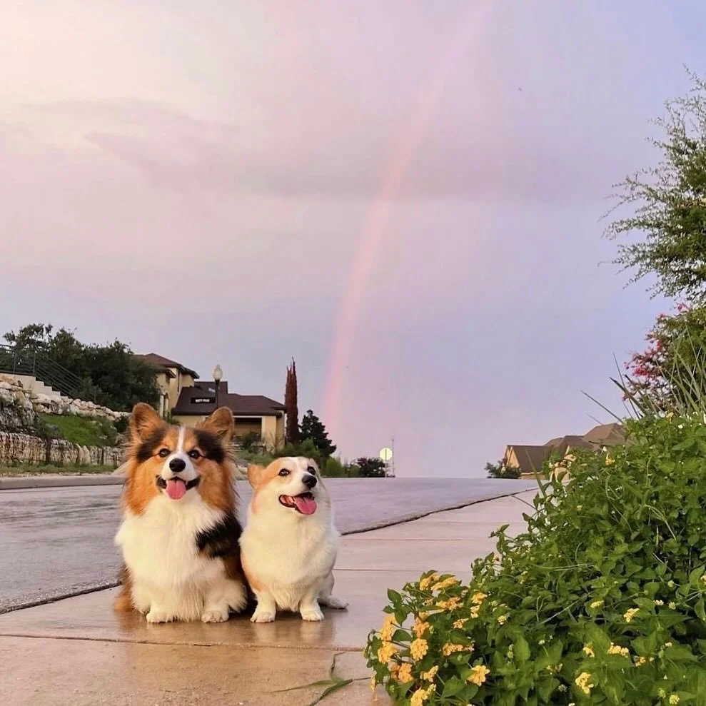 exactly how we feel about fridays ☺️🌈 

#insta #explore #fridayvibes