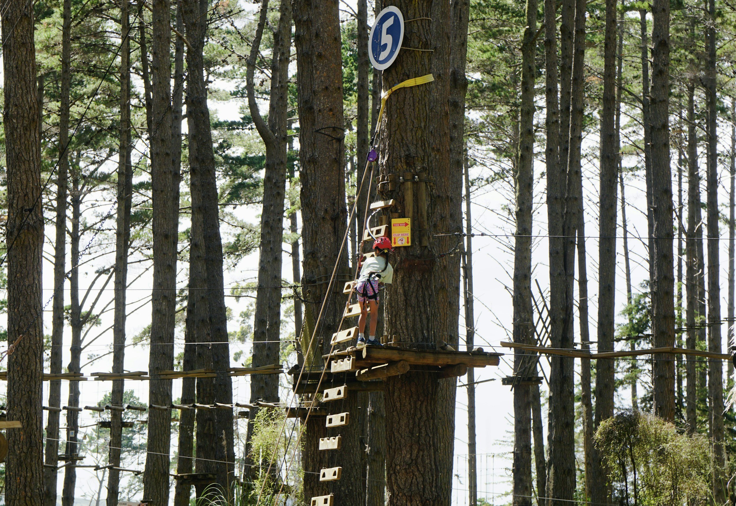 The Forge Adventure Park