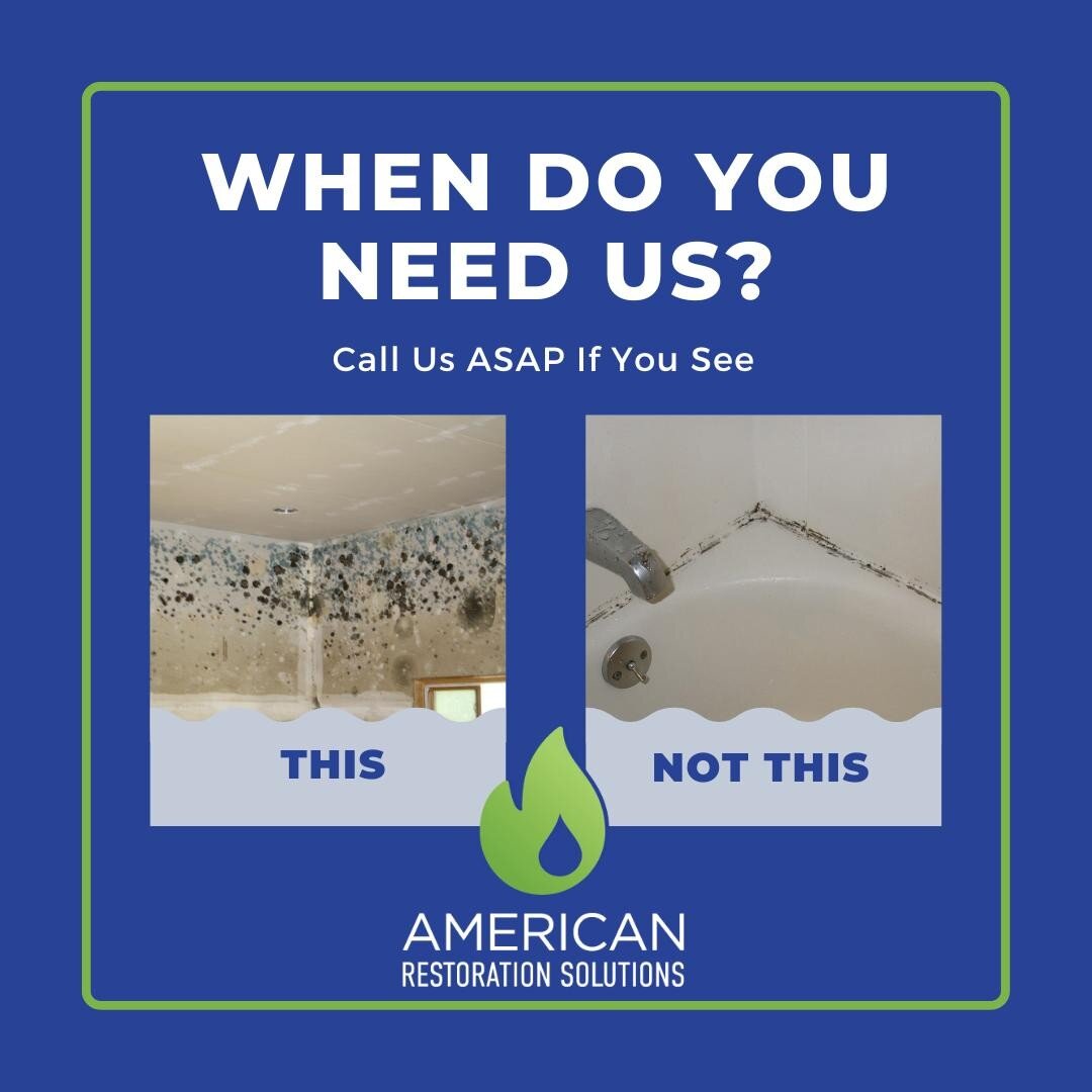 If you see serious mold growth, call us ASAP! 516-927-8262