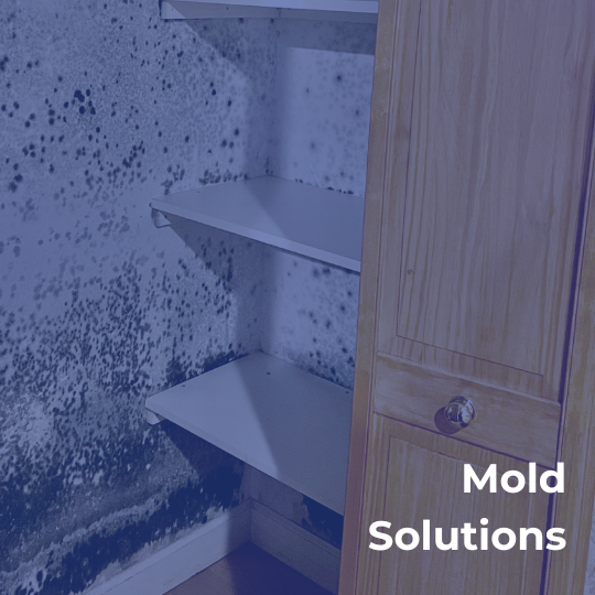 American Restoration Solutions - Fire, Water, & Mold Damage Experts