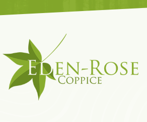 Screenshot 2026-03-03 11.07.55.png