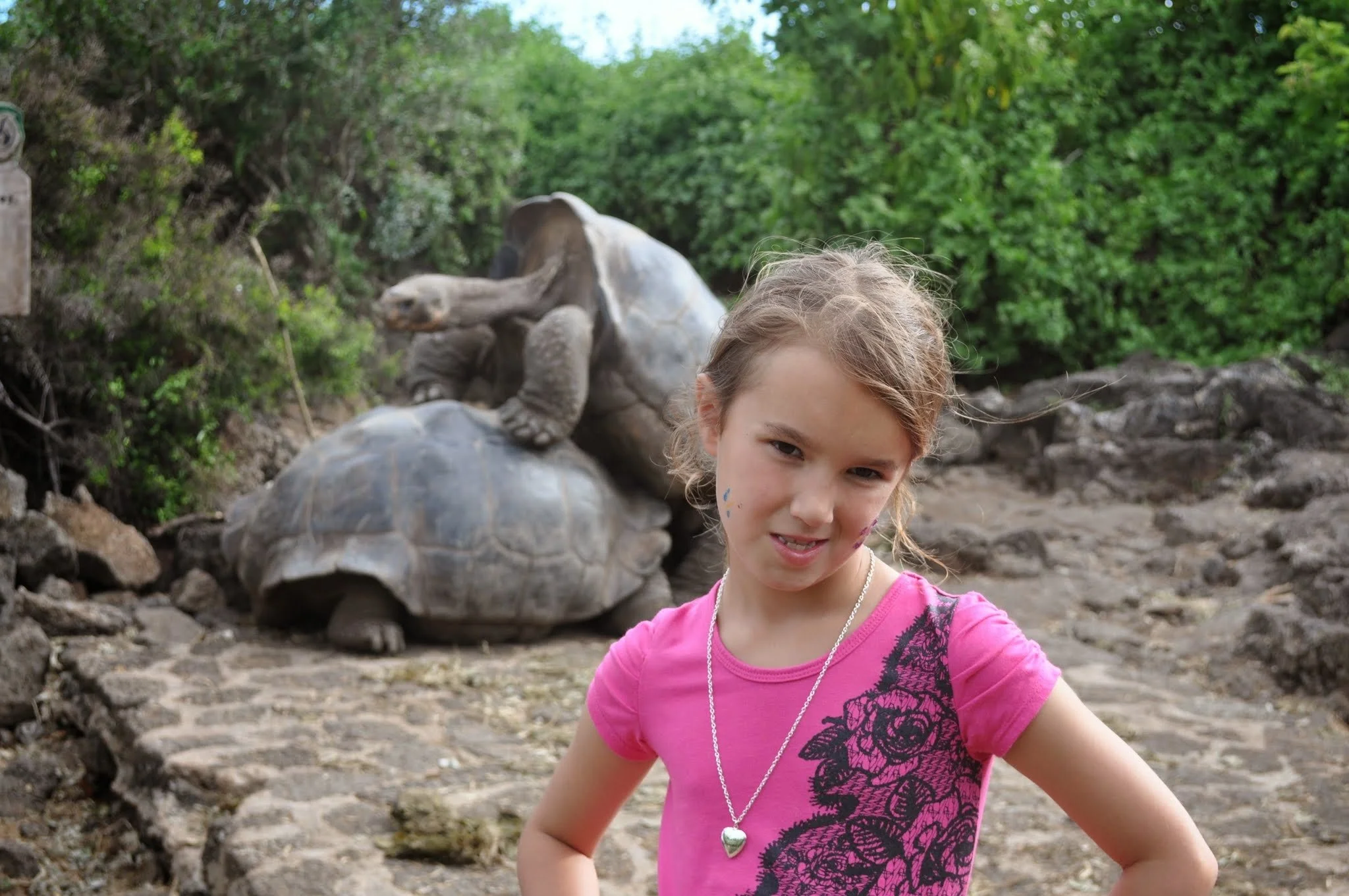 Highlights (493).JPG