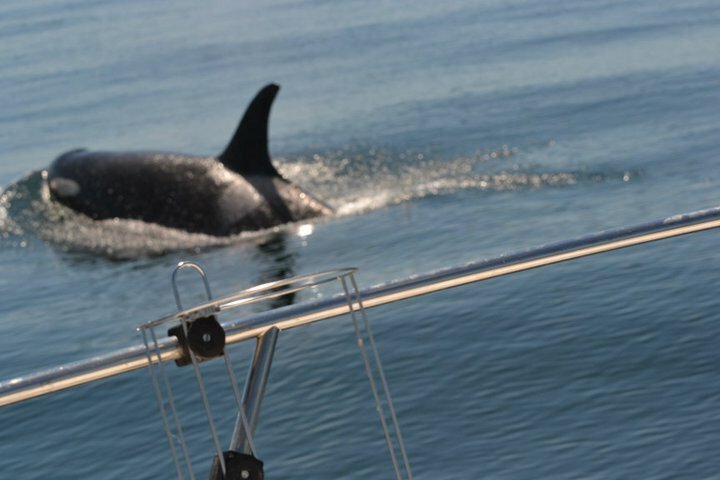 Fall 2018 2018-08-21 006.JPG