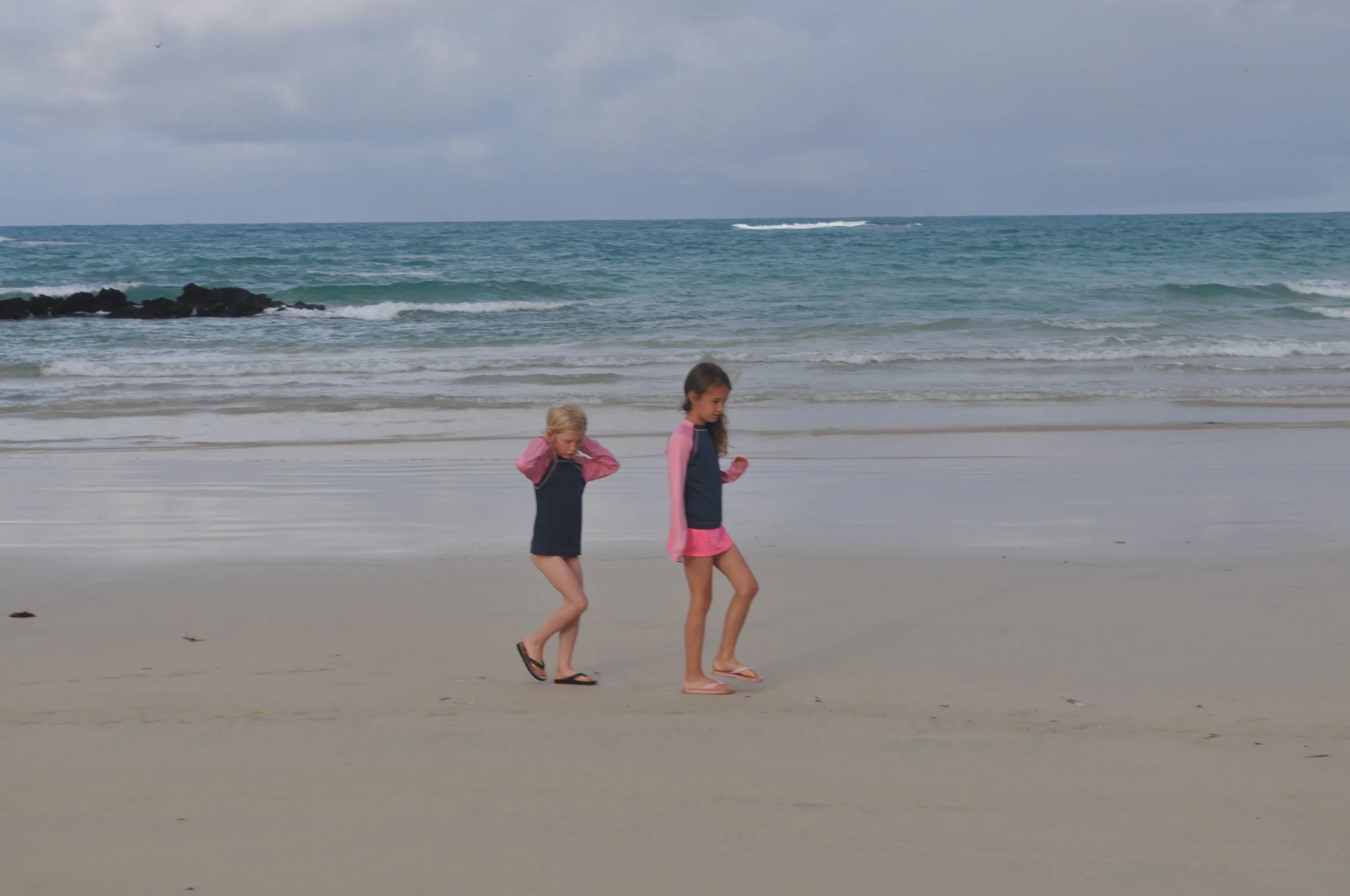 Highlights (314).JPG