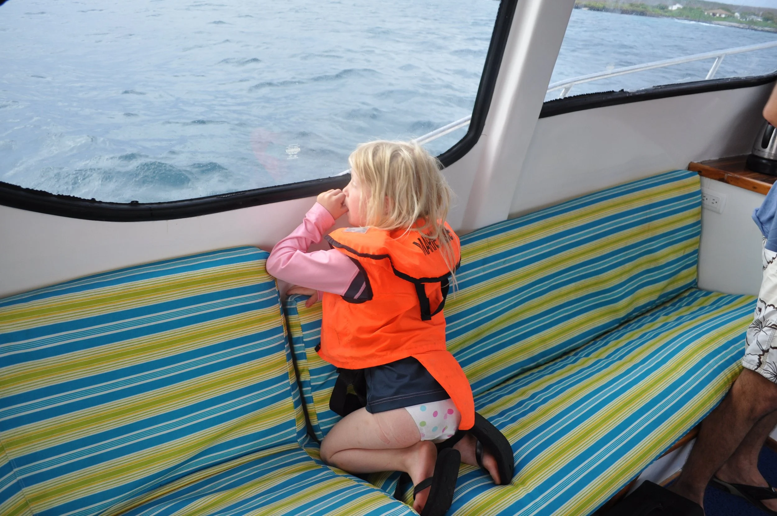 Highlights (212).JPG