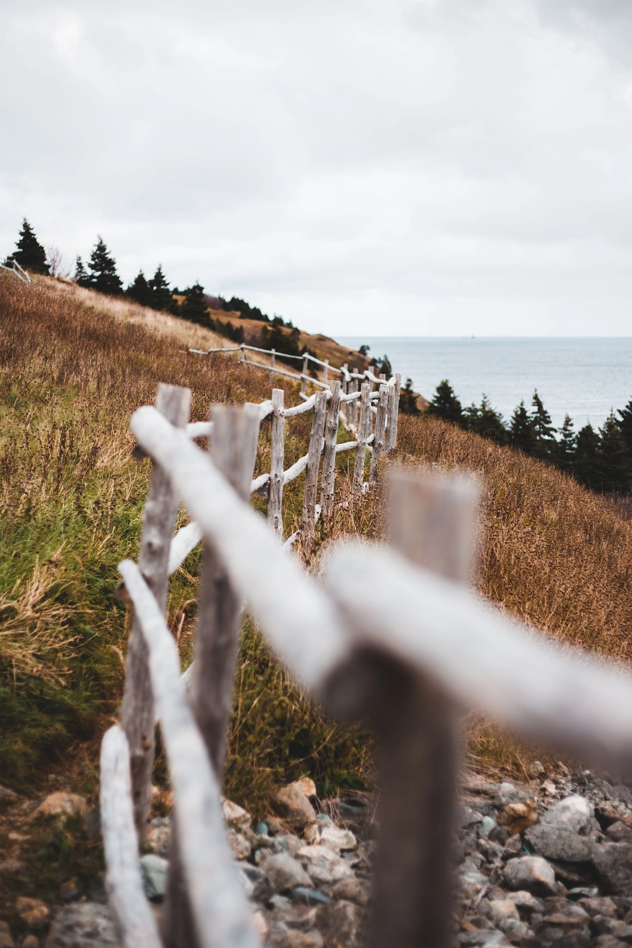 Wooden fence running along a sloped, grassy hillside yard