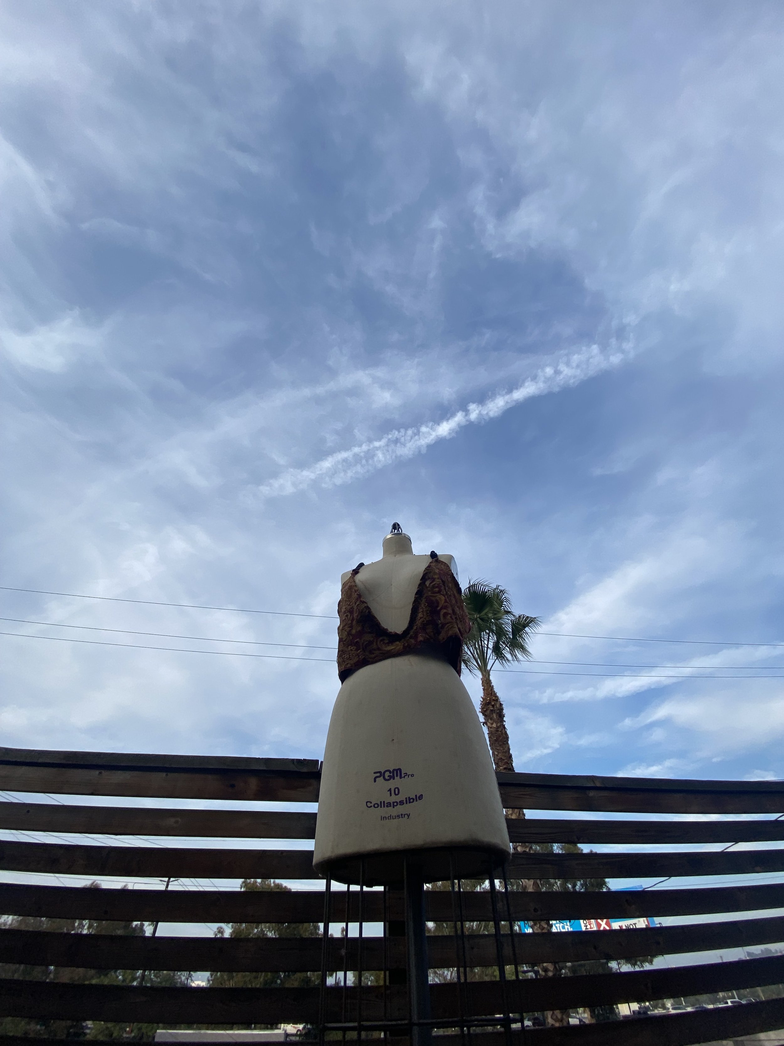 IMG_3515.jpeg