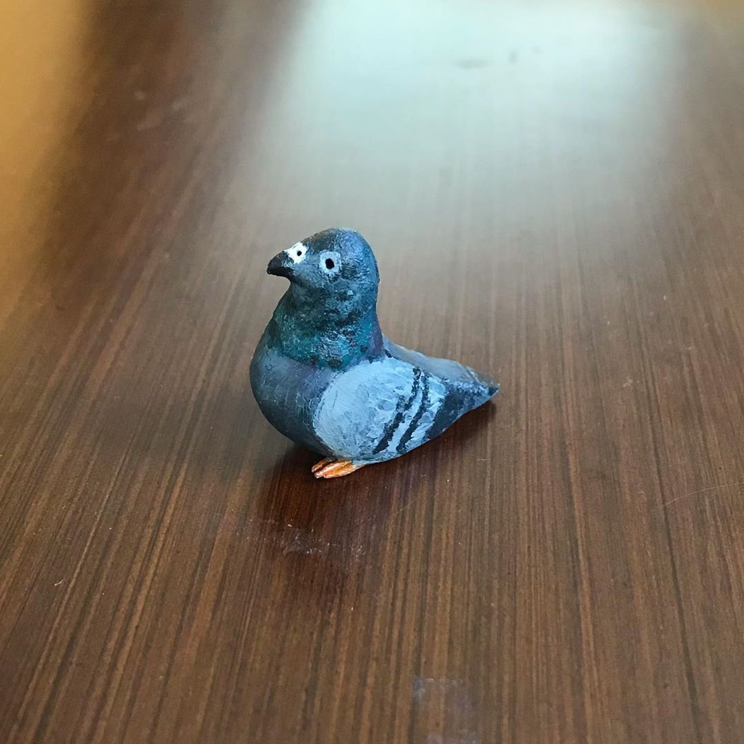 pigeon.jpeg