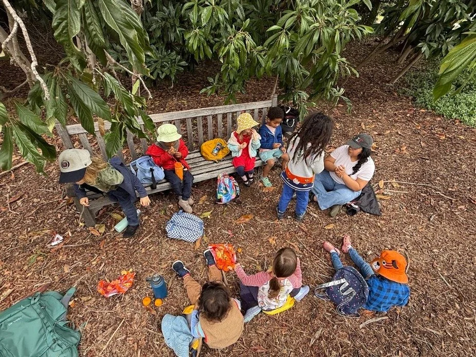 Winter’s Rhythm: Finding Warmth, Wonder, and Joy