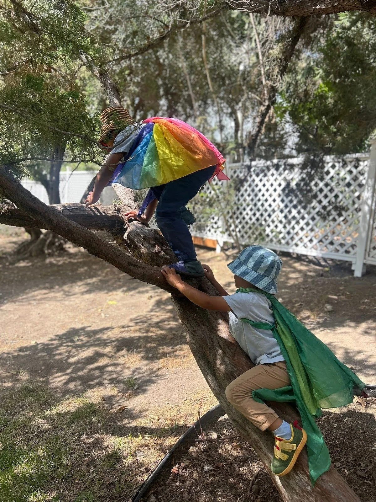 Climbing Higher: The Gift of Outdoor Play at Village Playgarden