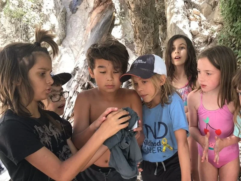 group looking at squirrel.jpeg