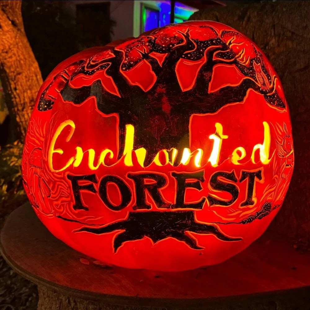 Enchanted Forest 3.jpg