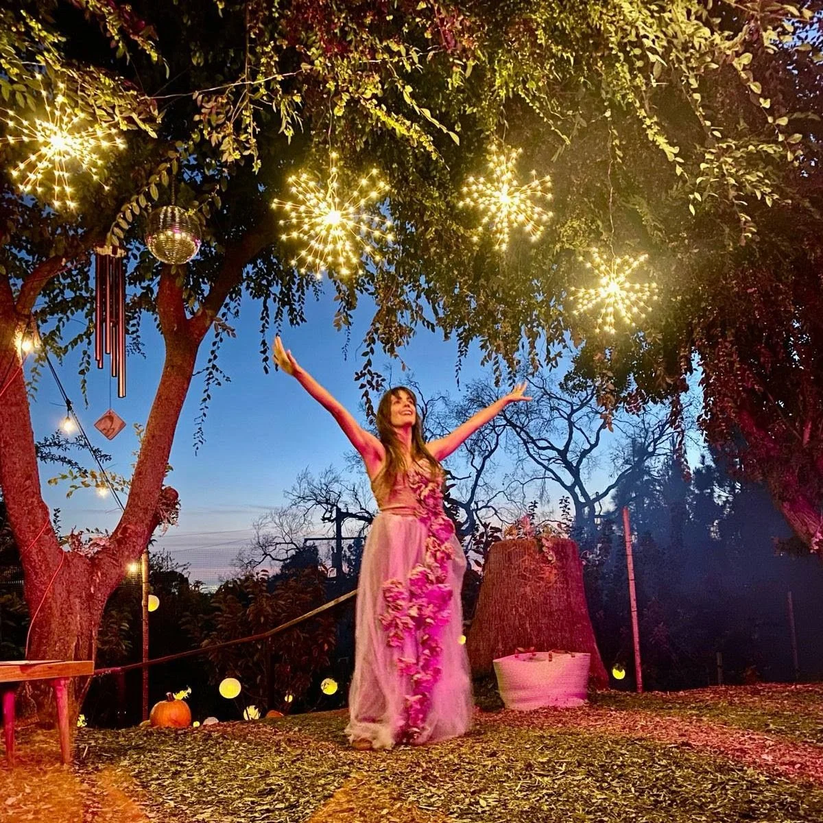 Enchanted Forest 2.jpg
