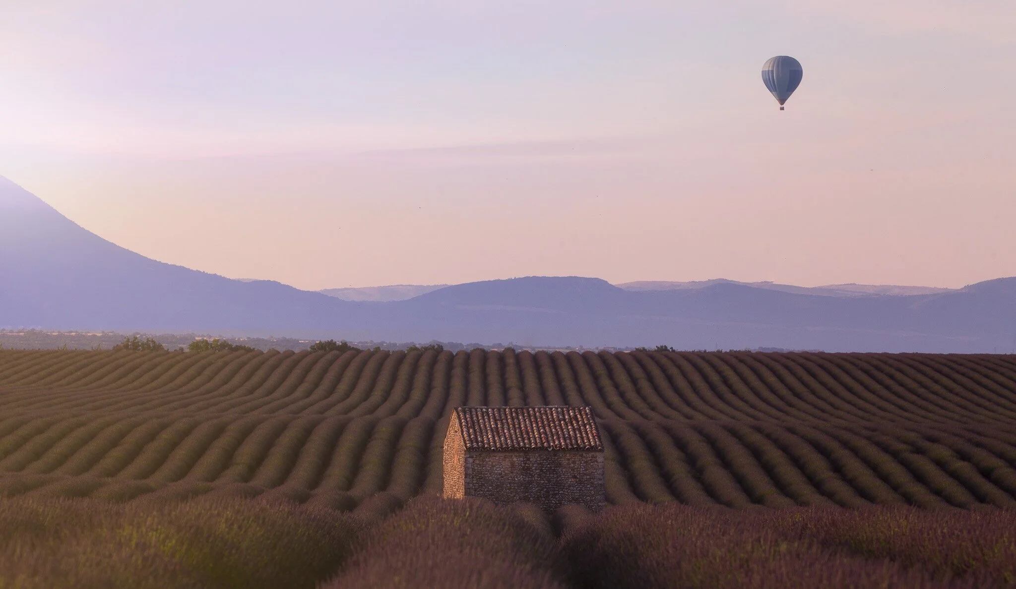Valensole