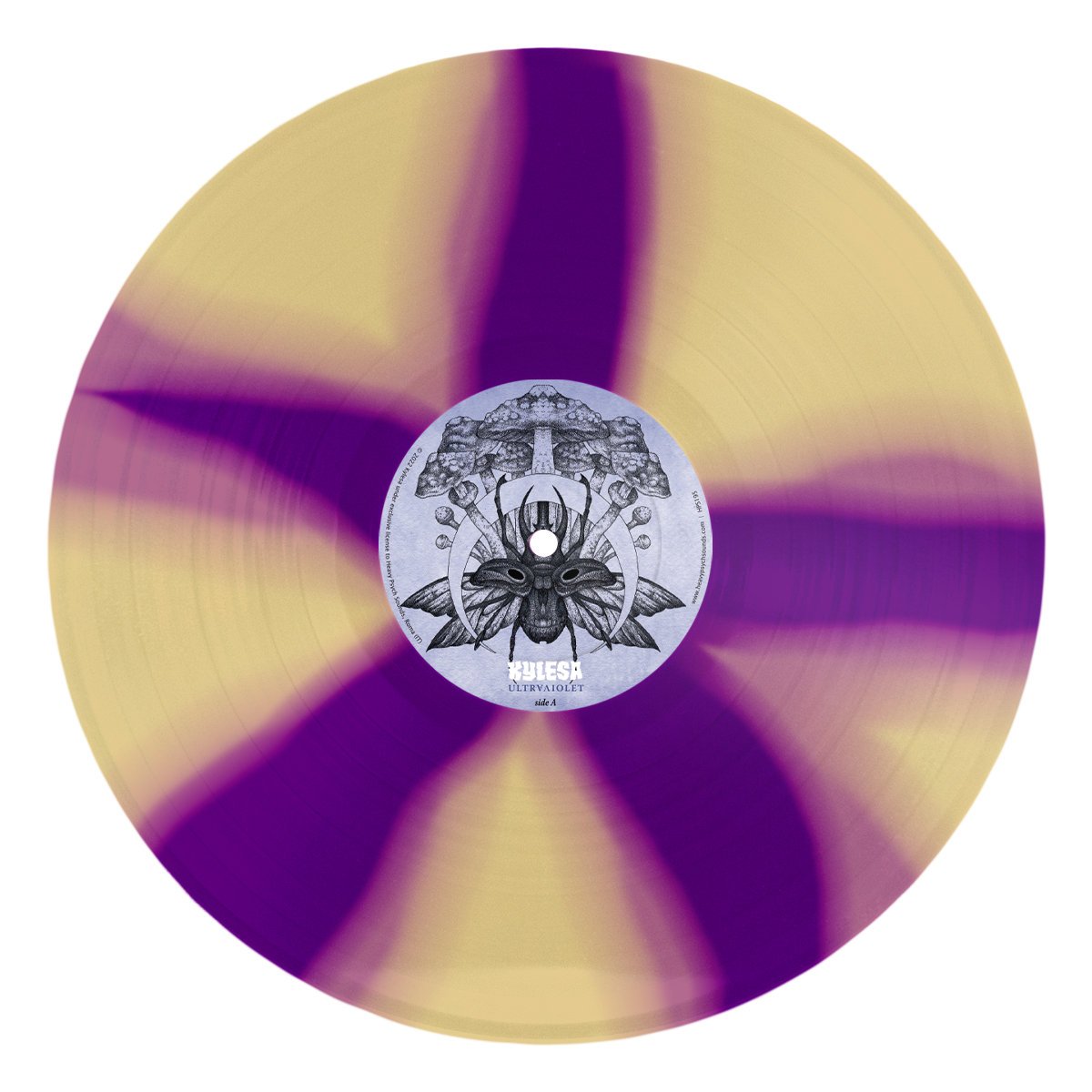 TRANSPARENT YELLOW BACK. CORNETTO PURPLE VINYL.jpg