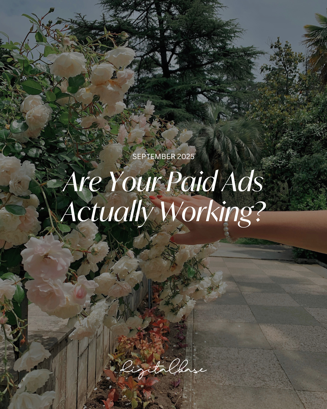 In Your Kase: Are Your Paid Ads Actually Working… or Just Running?