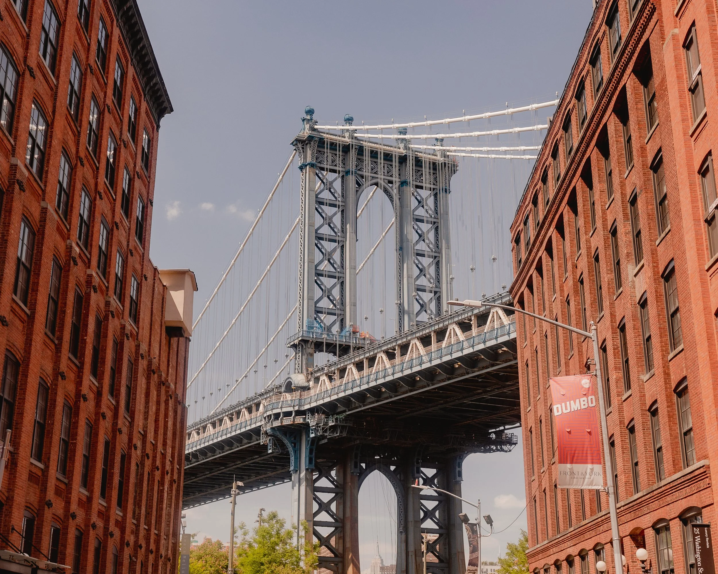 Dumbo.jpg