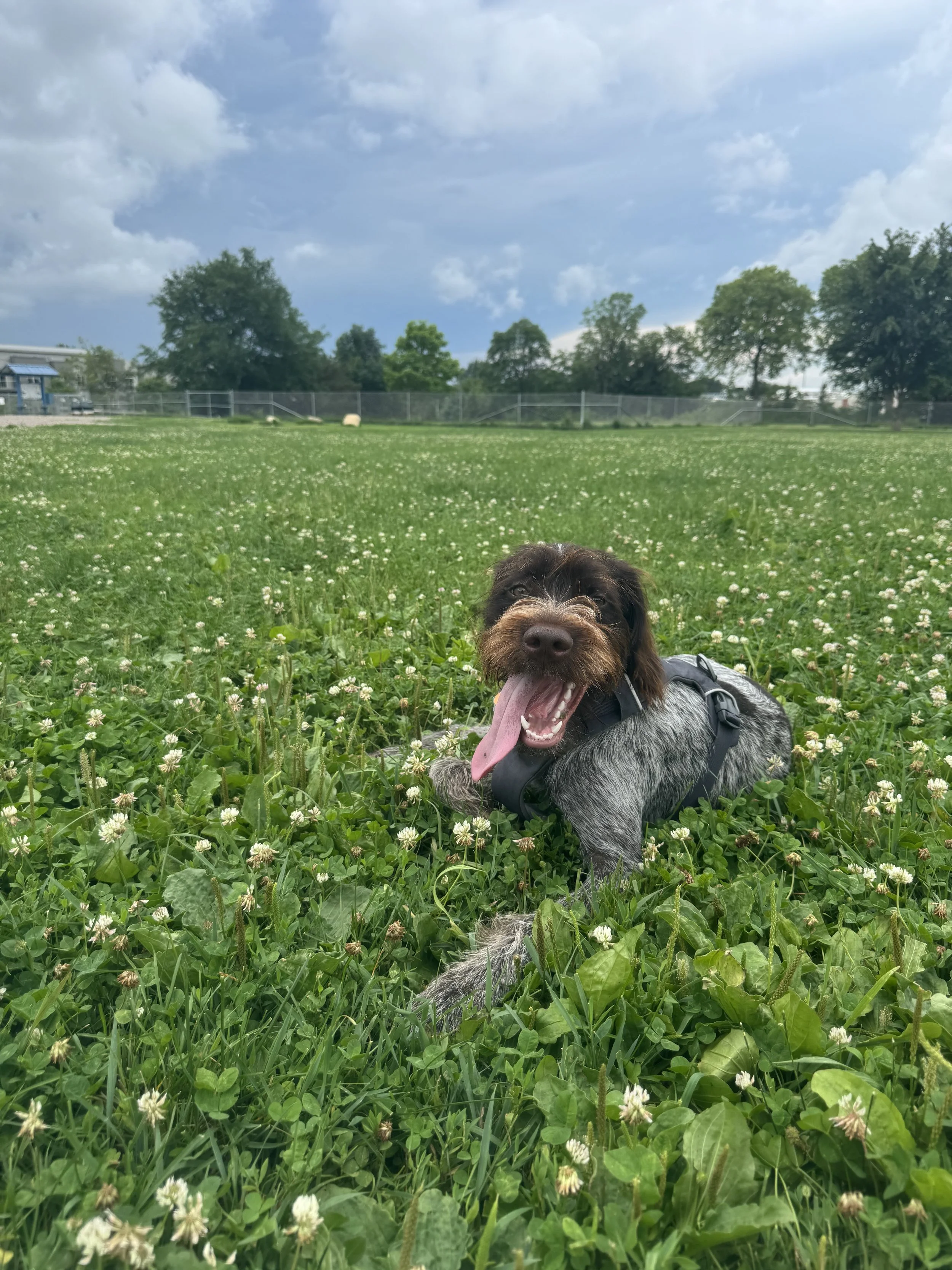 IMG_0856.jpeg