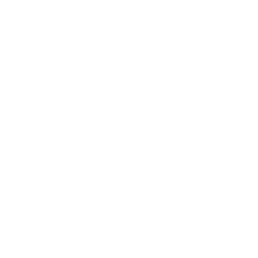 Paris Beer Co Logo.png