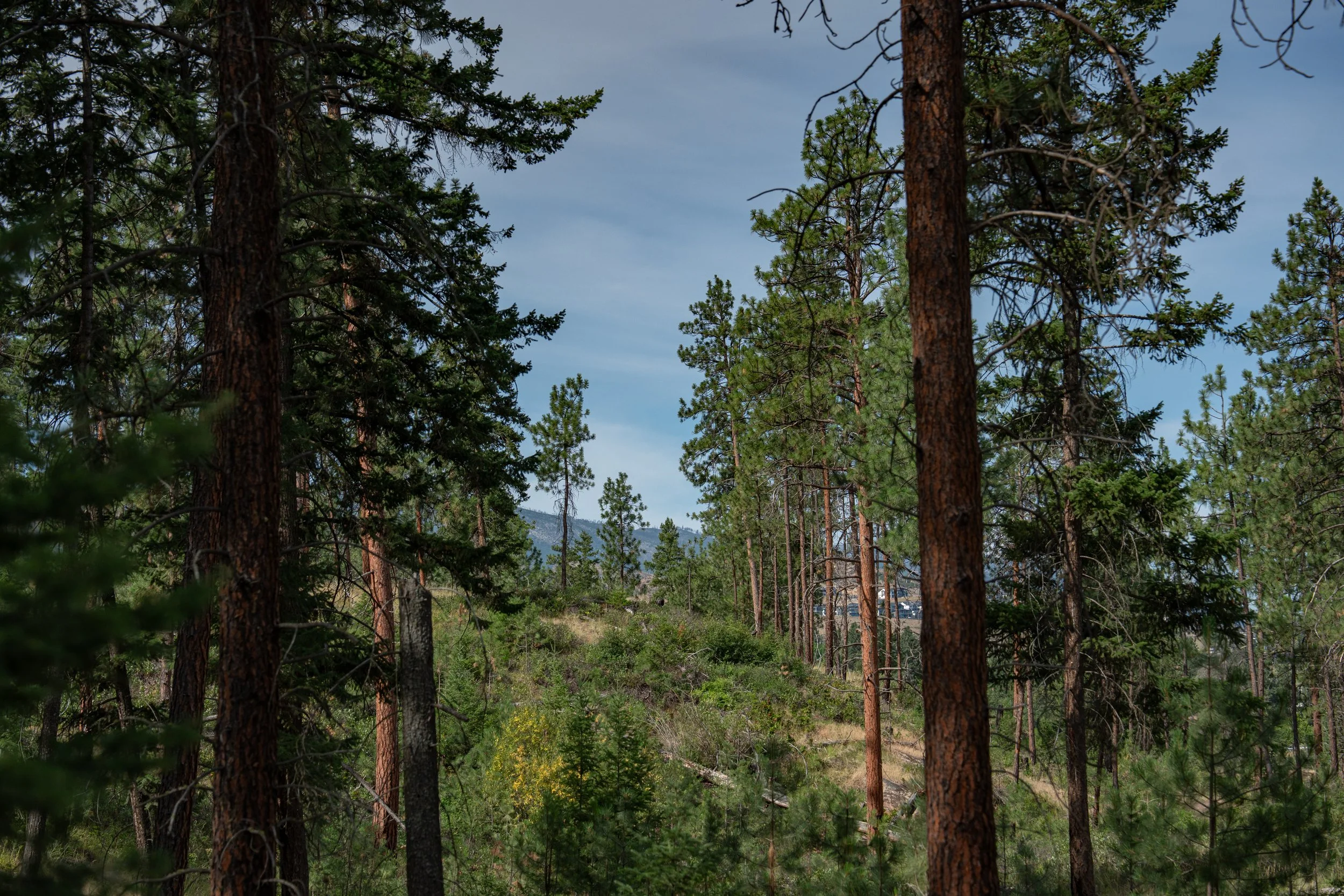 Emily Rowsell Photography - Kelowna.jpg